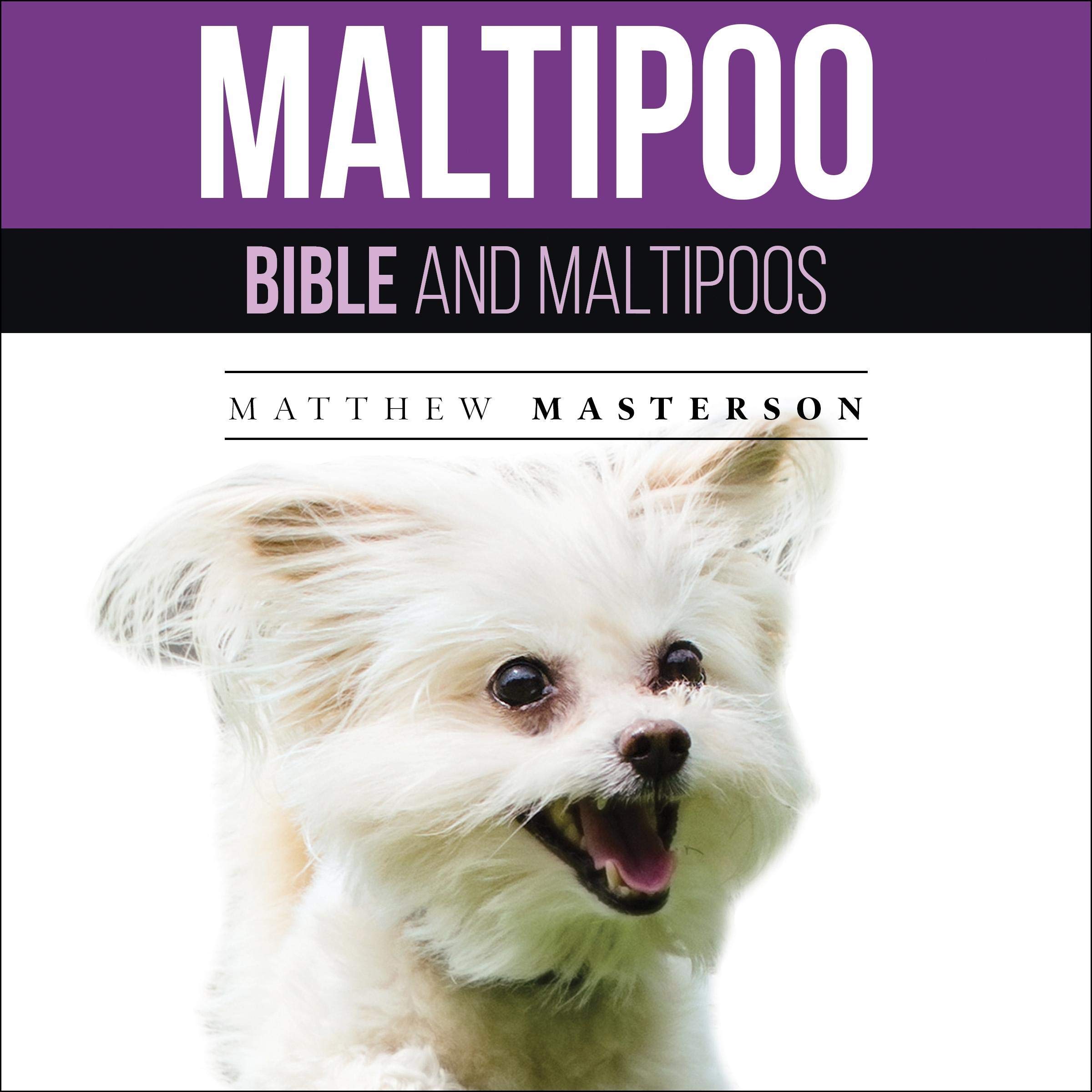Cover art for Maltipoo Bible and Maltipoos
