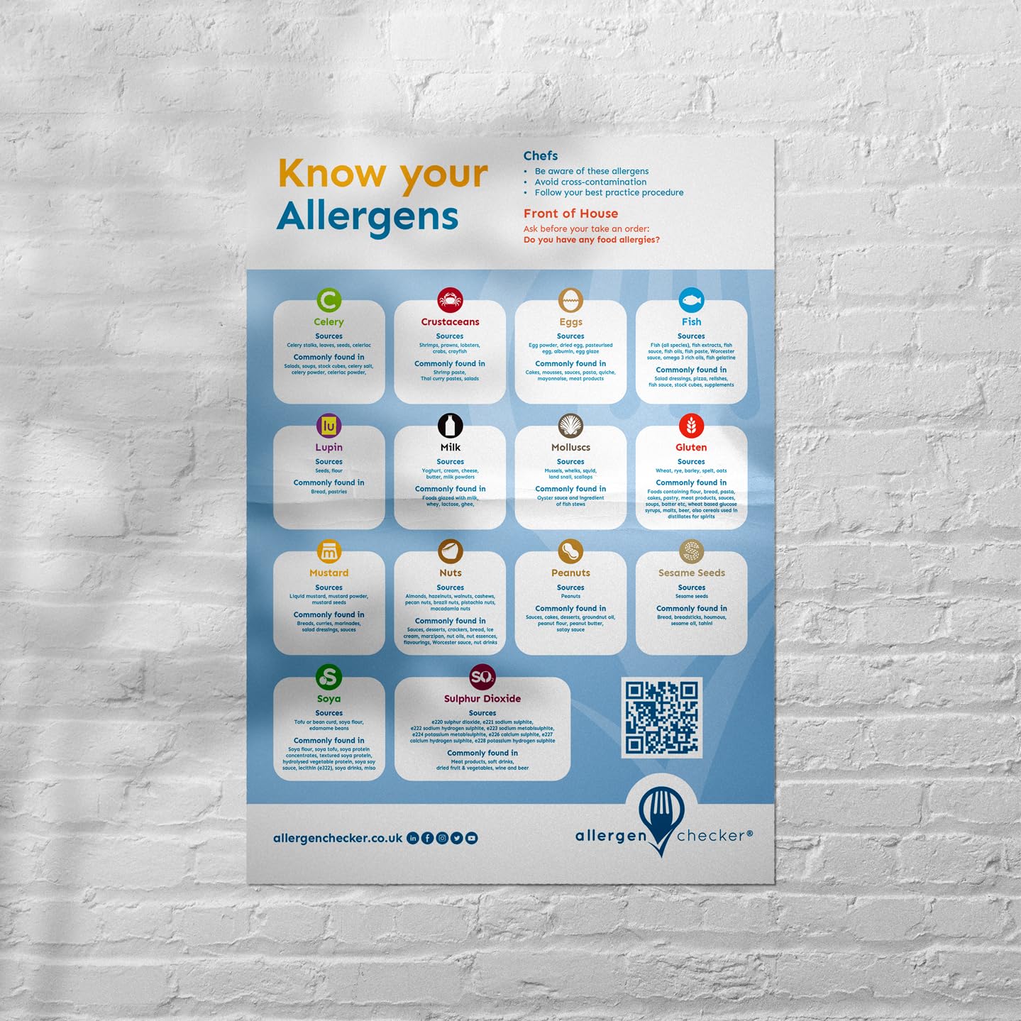 Food Allergy Sign A4 List Anti Bac Lamination 450gsm Plus | Desertcart ...