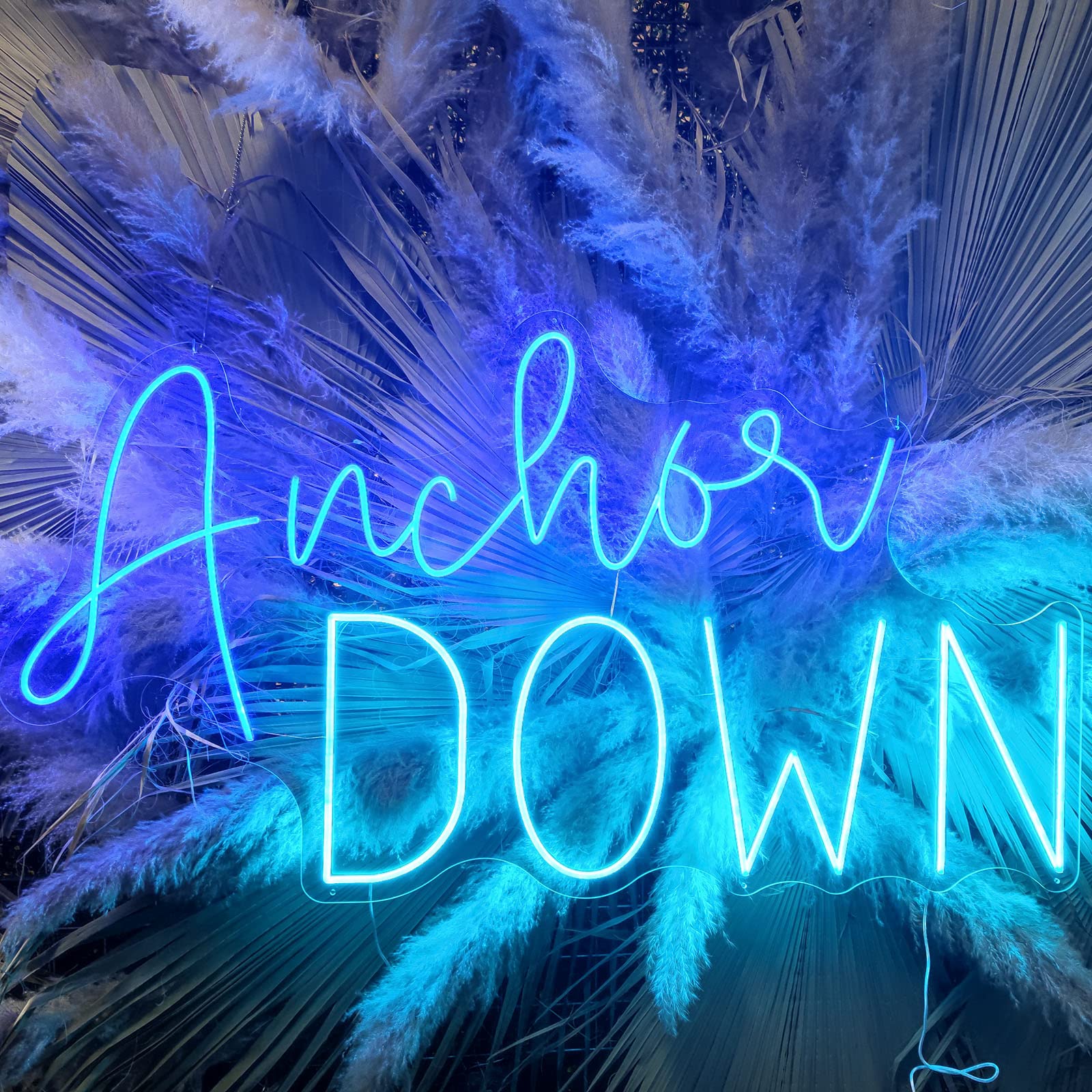 Amazon.com : INSNEnN Anchor DOWN Neon Sign, LED Acrylic Neon Light
