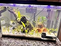 Review Image by Kathy Gunter Kathy Gunter