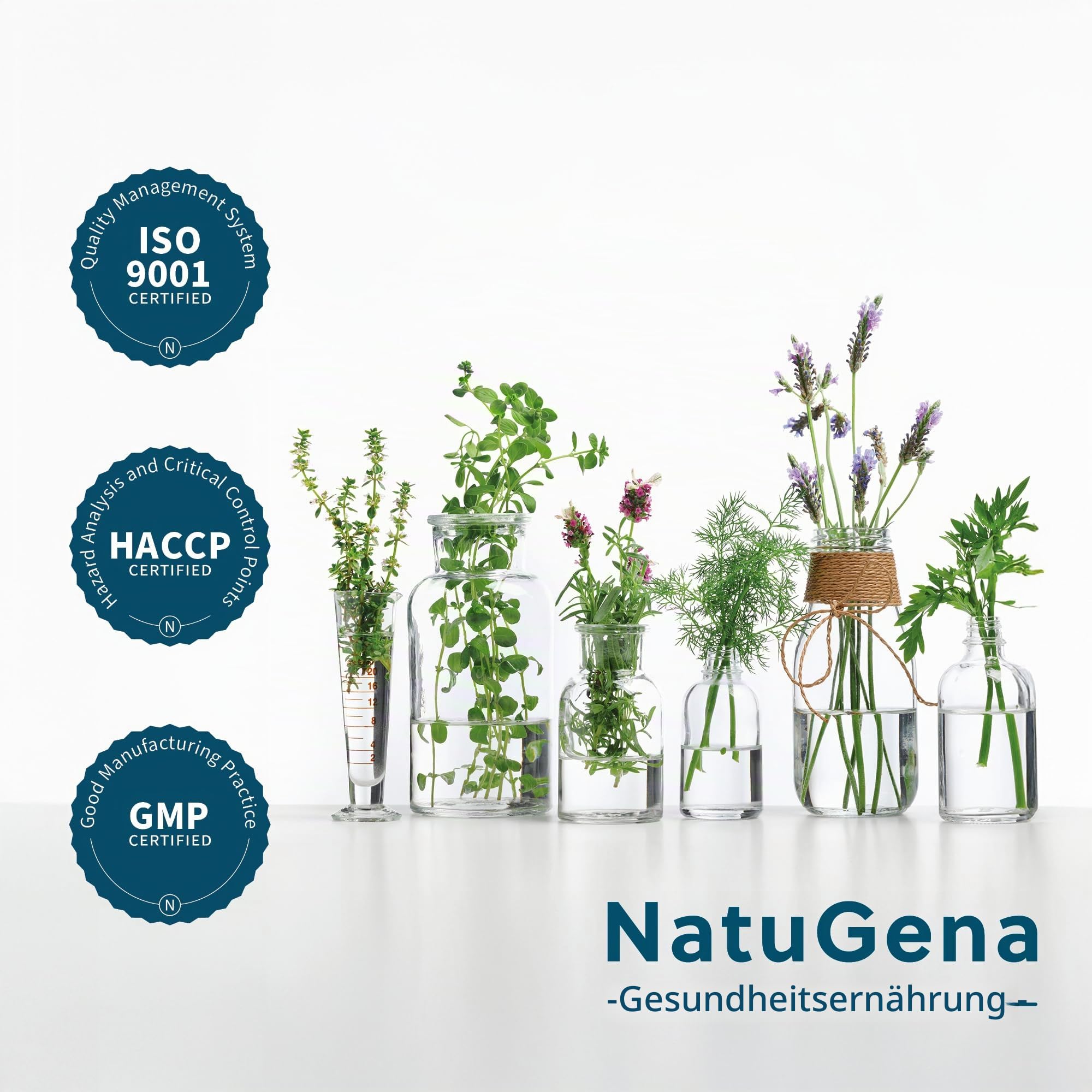 NatuGena Spermidin 6 Spermidin hochdosiert mit 6mg pro Kapsel/Trans-Resveratrol & Zink/Zellaufbau/Zellwachstum / 60 Kapseln HPMC (60-Tage-Packung)