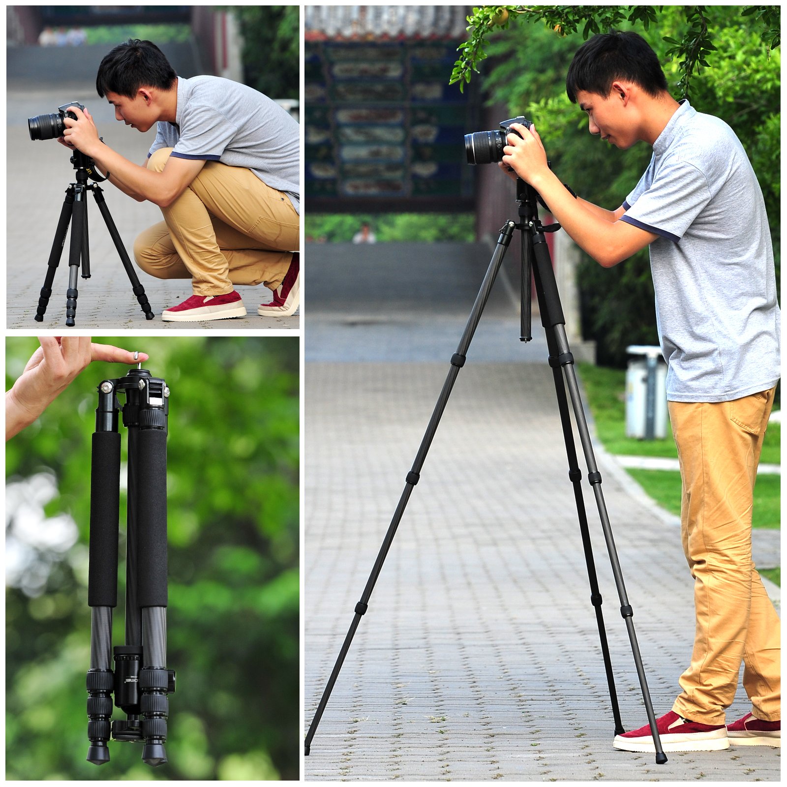 ZOMEI Z818C Support pour Appareil Photo numérique et caméscope pour trépied avec Support en rotule et rotule