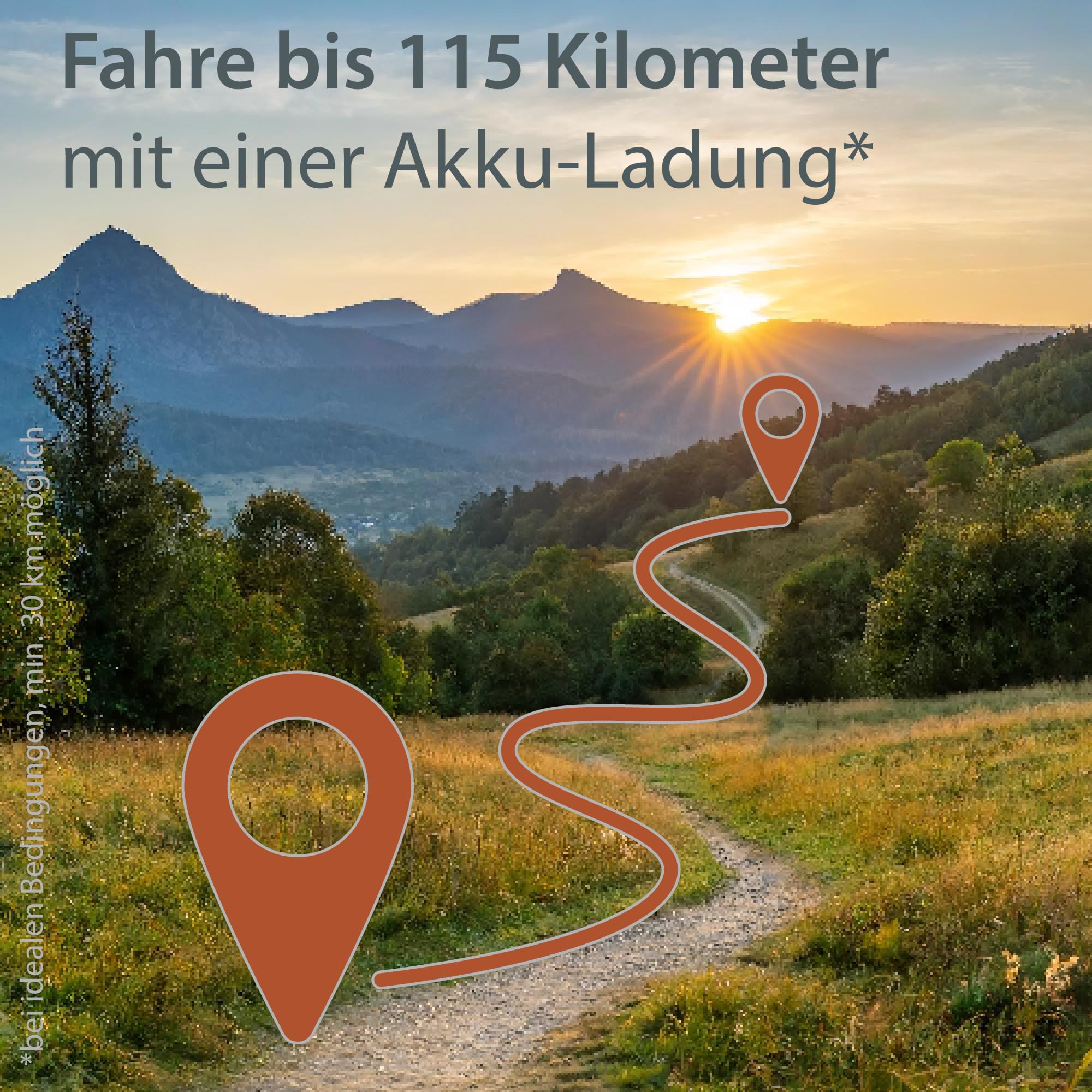 AGON Avesa E-Bike Trekkingrad Pedelec Damen Nabenmotor 21 Gang