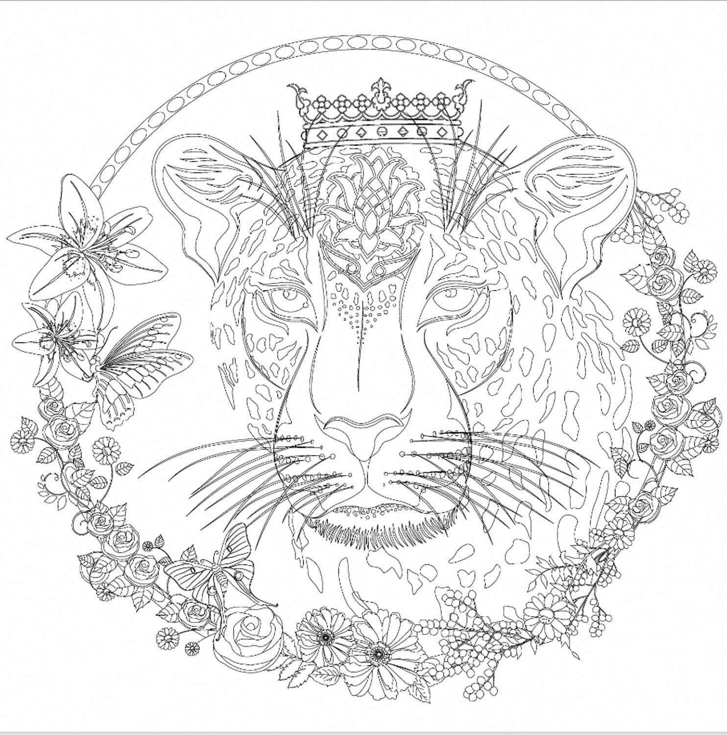 Honsell 12119 Stretcher Frame with Lion Motif, Format 30 x 30 cm