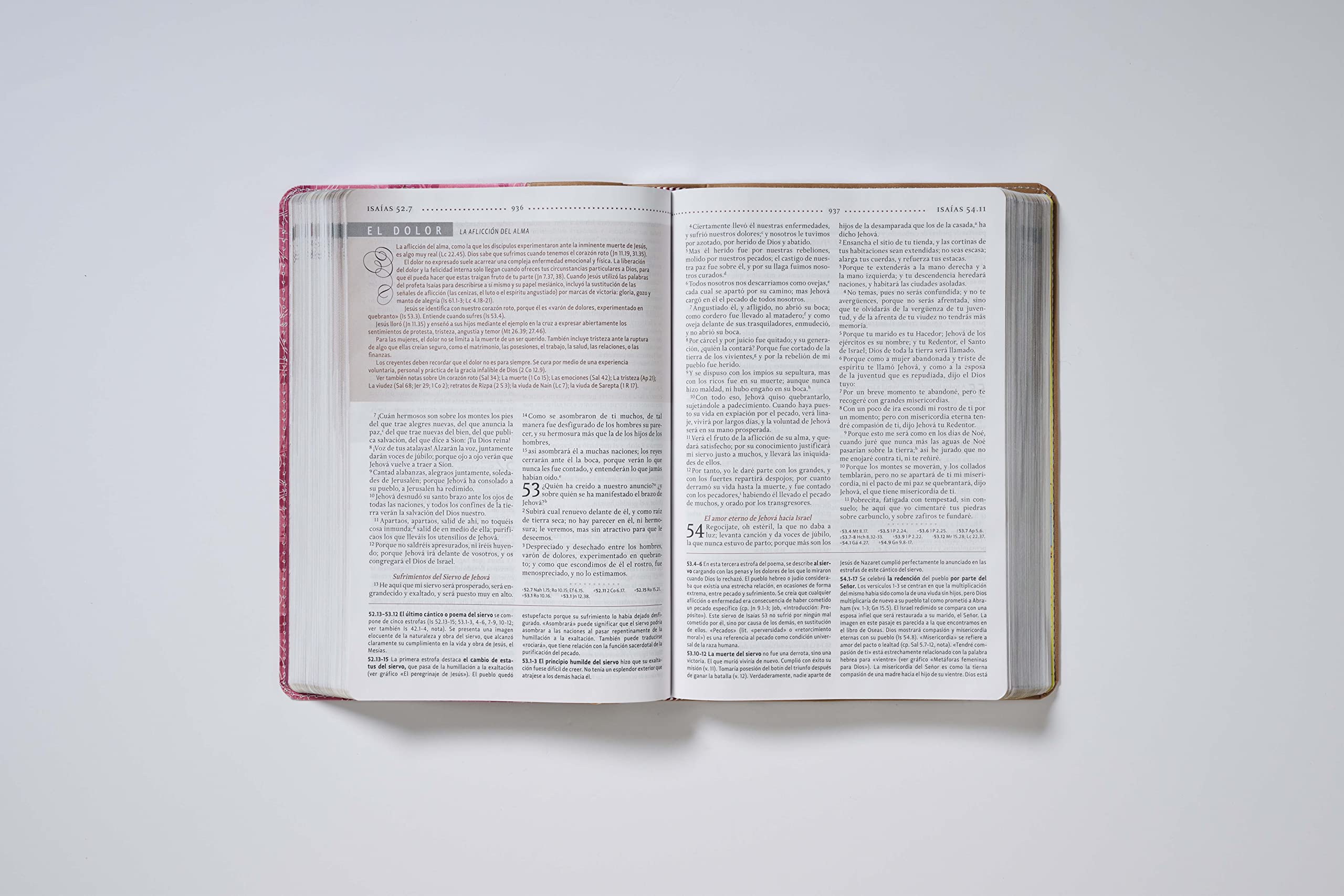 Biblia de Estudio Para la Mujer-Rvr 1960
