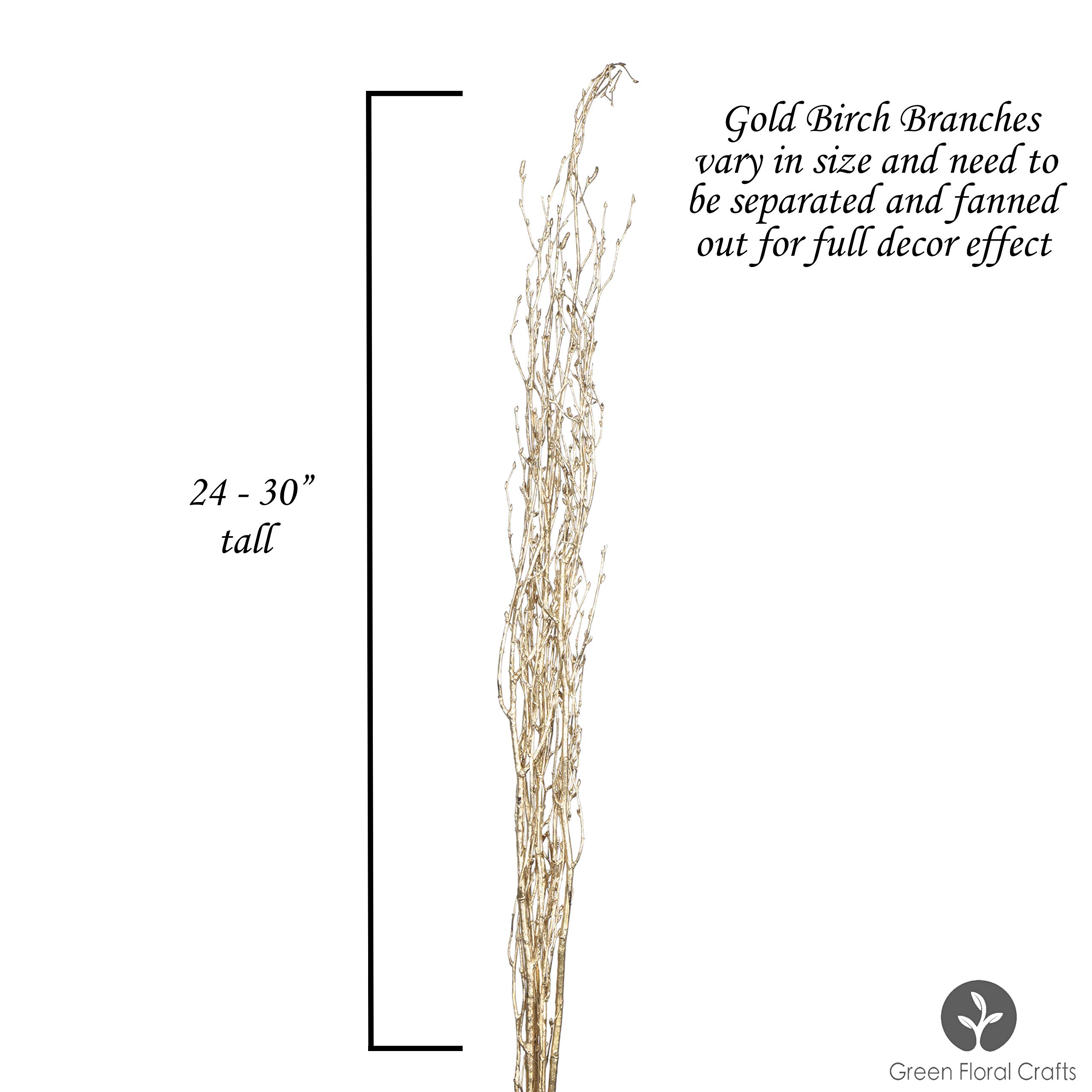 Green Floral Crafts - Gold Birch Branches, Pack of 16, 2-2.5 Ft Ballroom Gold Branch Tips