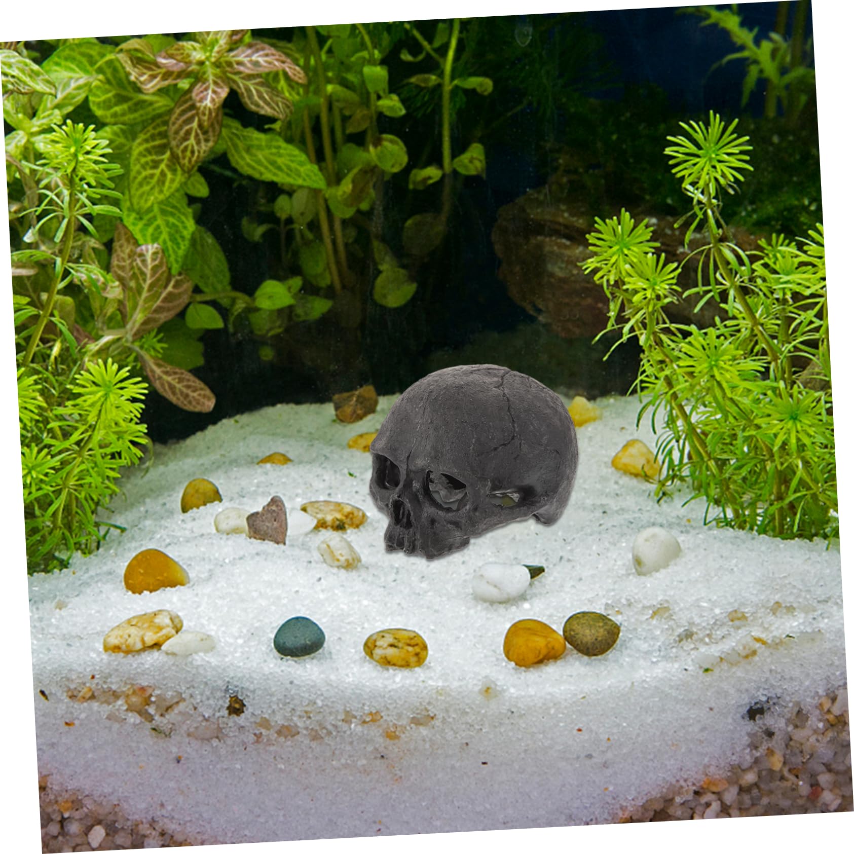 CLMJHG FCXDMY Acquario Decorazione Teschio Statuetta in Resina Teschio Nascondiglio per Acquari e Rettili Ornamento Realistico per Grotta Resistente Sicuro per Pesci e Cingolati