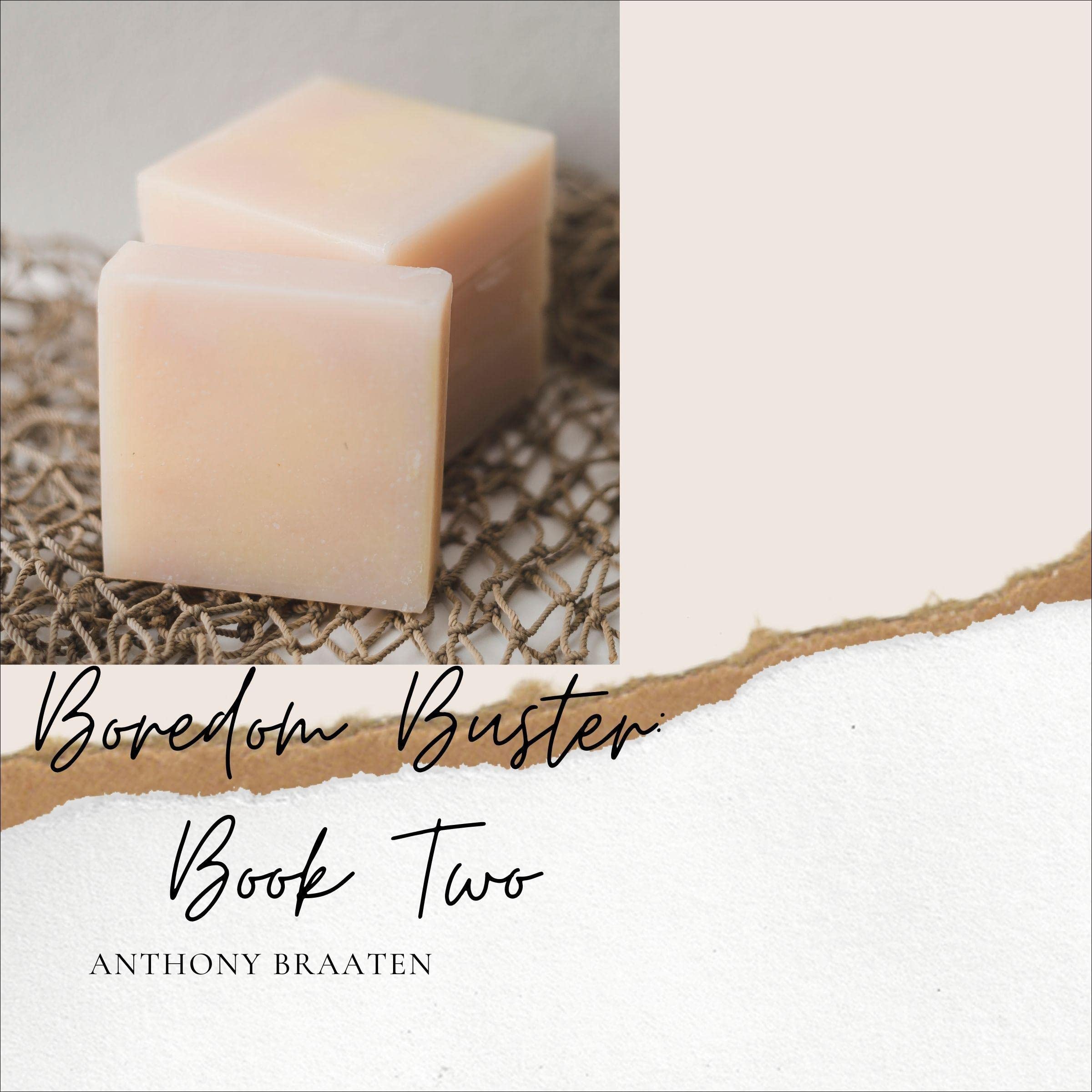 Boredom Buster: Book Two