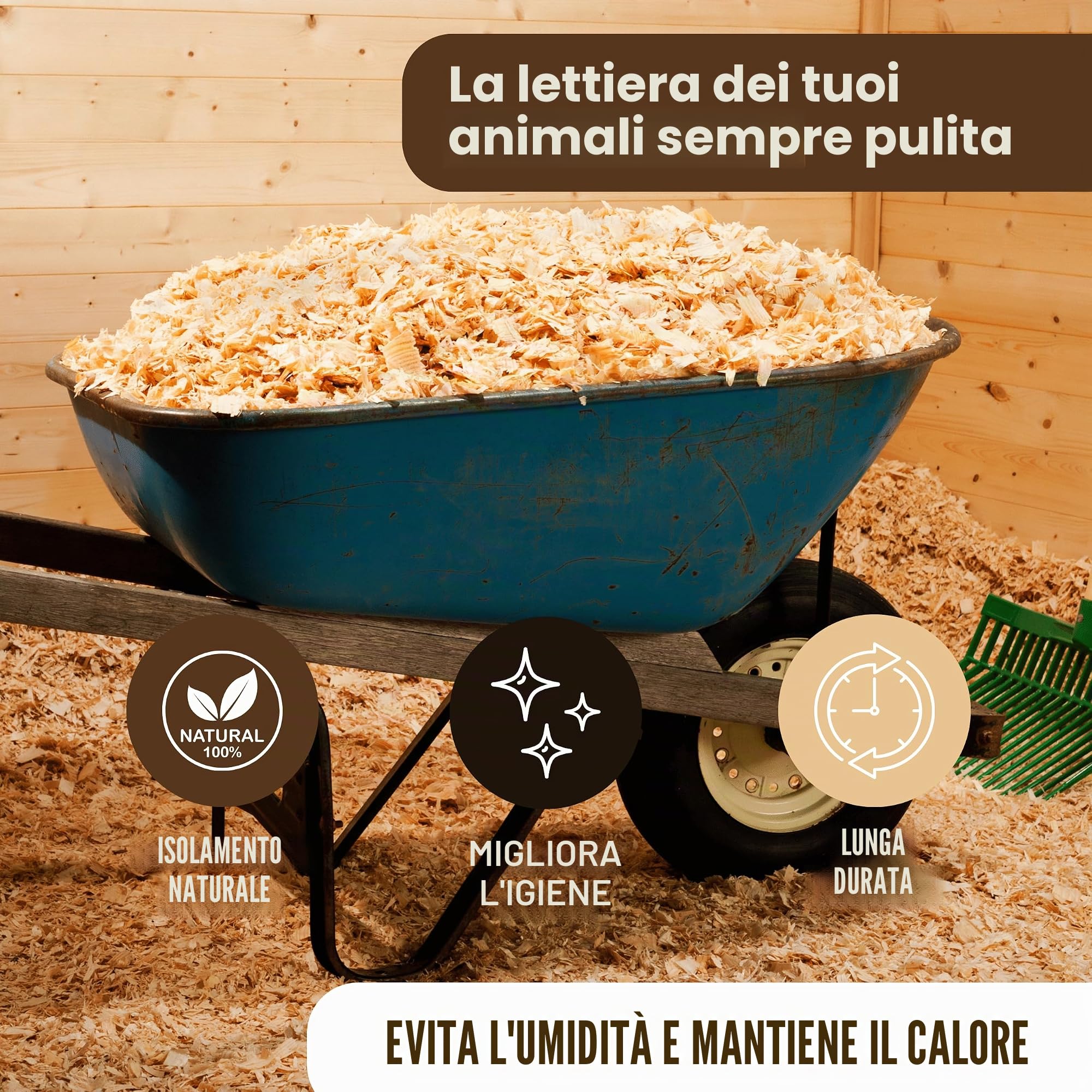 Trucioli di legno per animali domestici, galline, pollame e altri animali domestici, 100 l ~ 15 kg, per pollame, conigli, cavalli - 100% naturale - assorbente previene parassiti - sostituto segatura