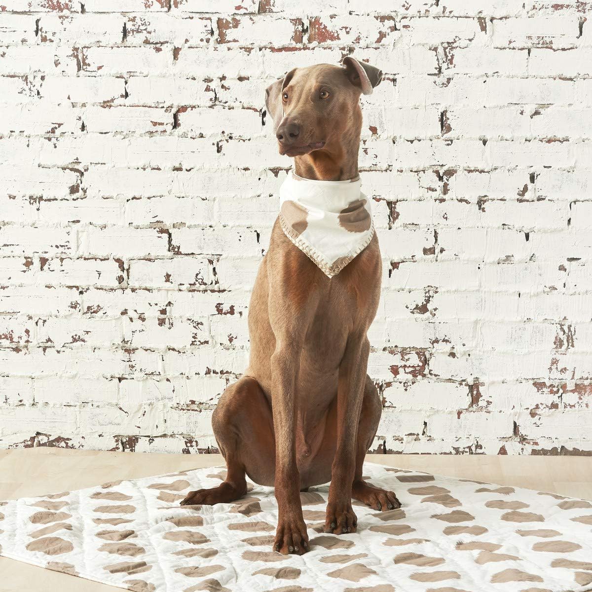 carol & frank Pet Dog Or Cat Quilt Blanket Bed Dot Pattern Tan 40 x 50 Tan