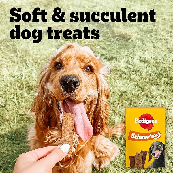 Pedigree Schmackos Mega Pack 110/112 Strips Snacks, Dog Treat Multipack with Beef, Lamb and Poultry Flavours - 5