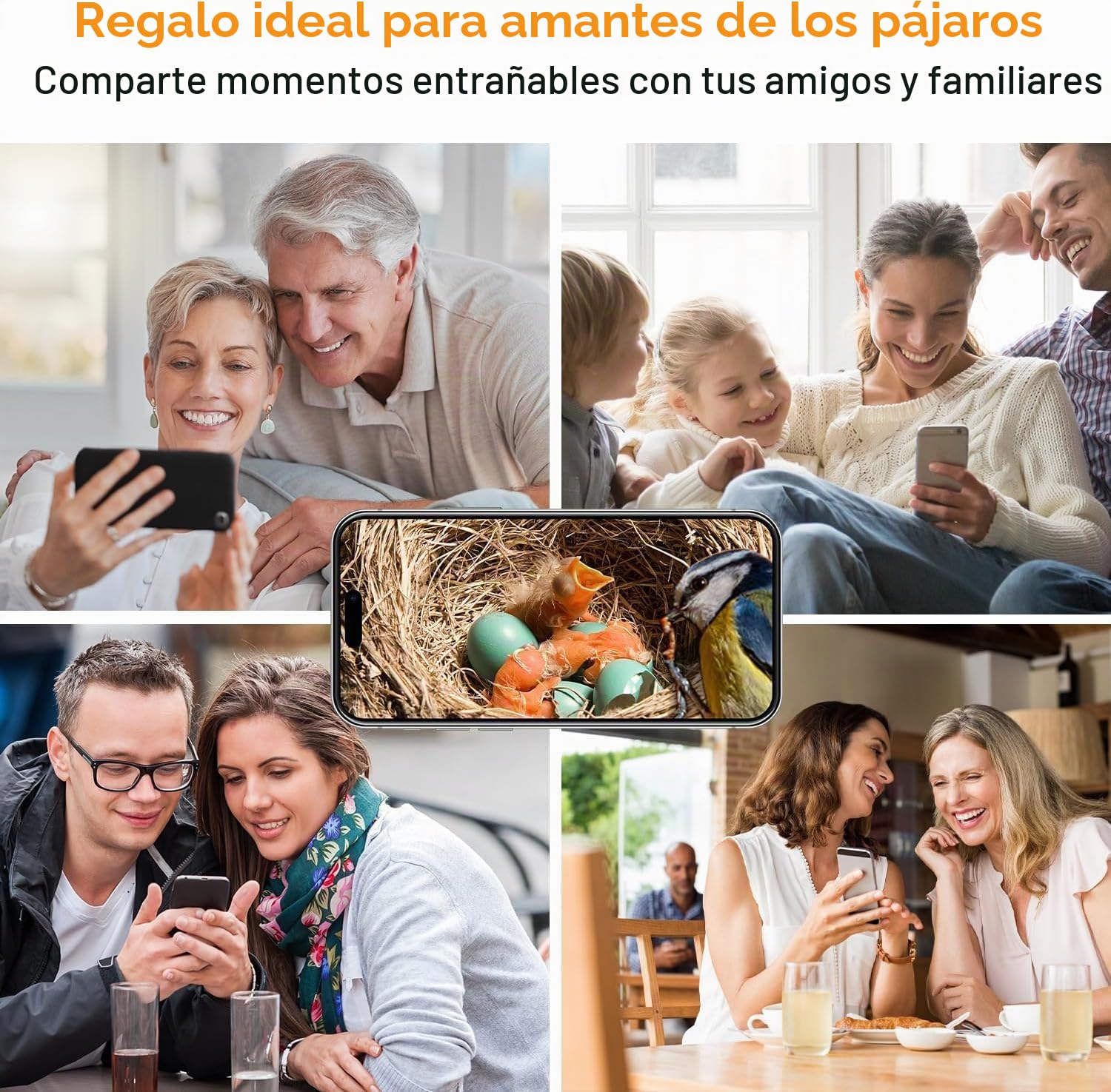 Pajarera con cámara, Nido de 5MP HD para Exteriores, 2,4 G WiFi y notificación por aplicación, observa la anidación y la eclosión, grabación automática de vídeos de pájaros y detección de Movimiento