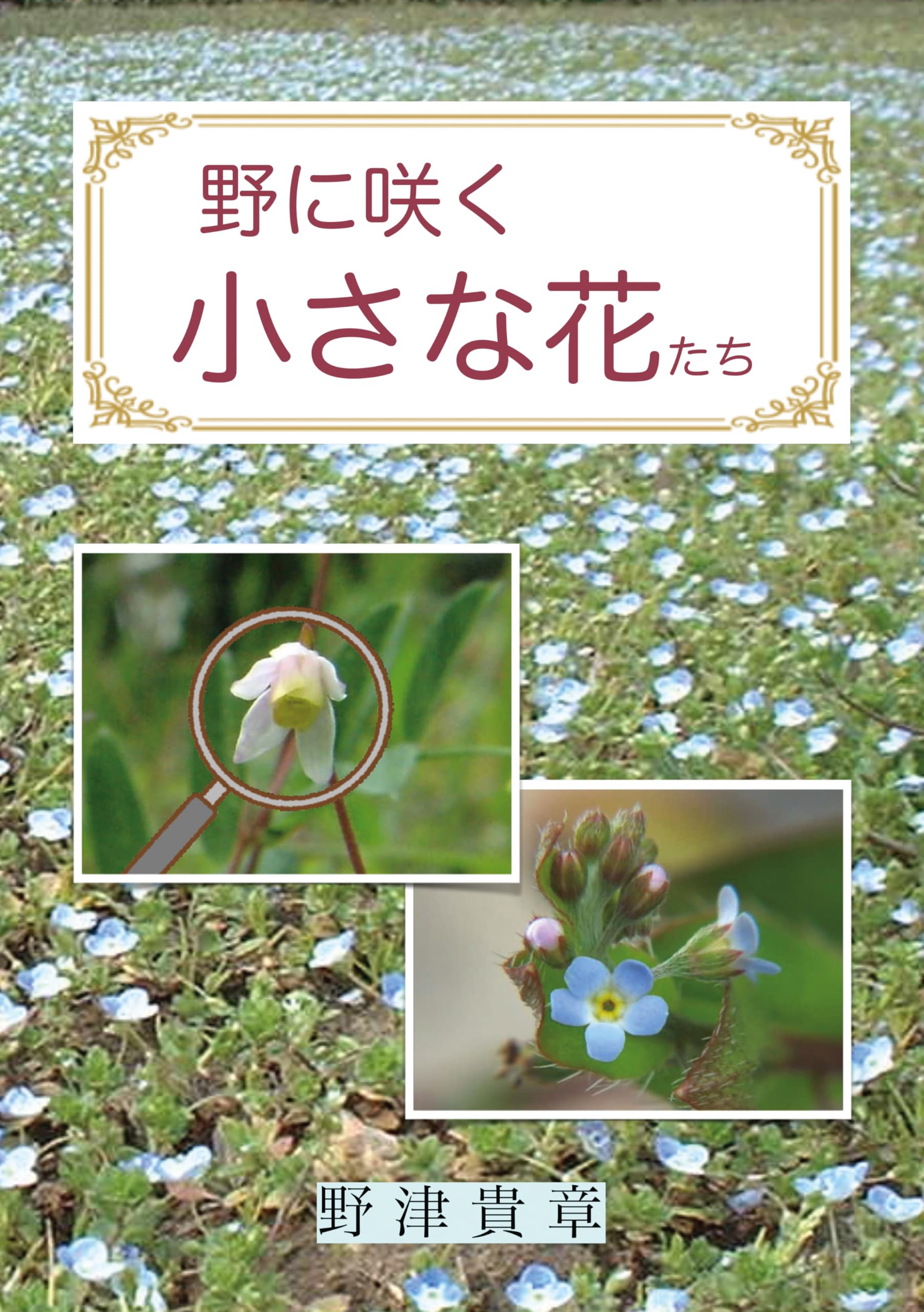 Amazon.co.jp: 野に咲く小さな花たち : 野津 貴章: 本