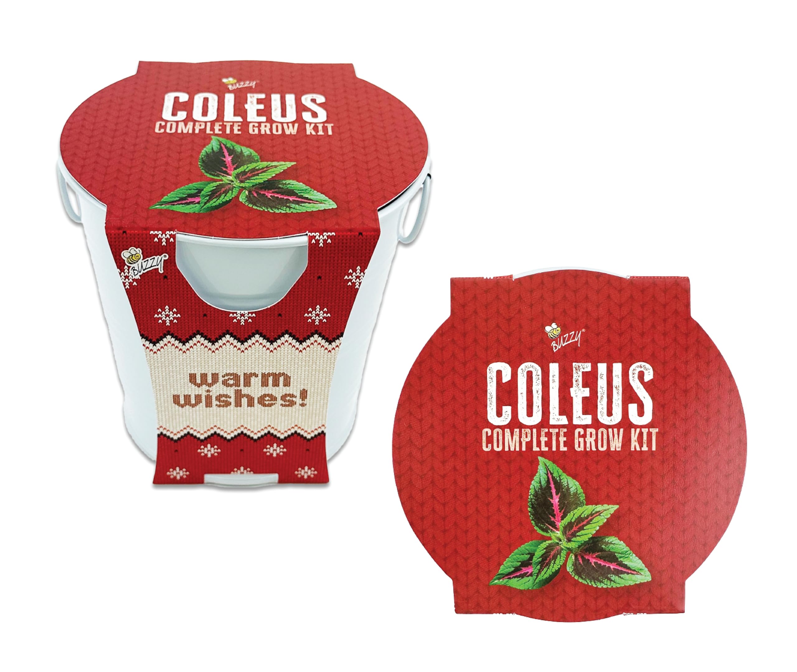 Buzzy Seeds Coleus Indoor Grow Kit