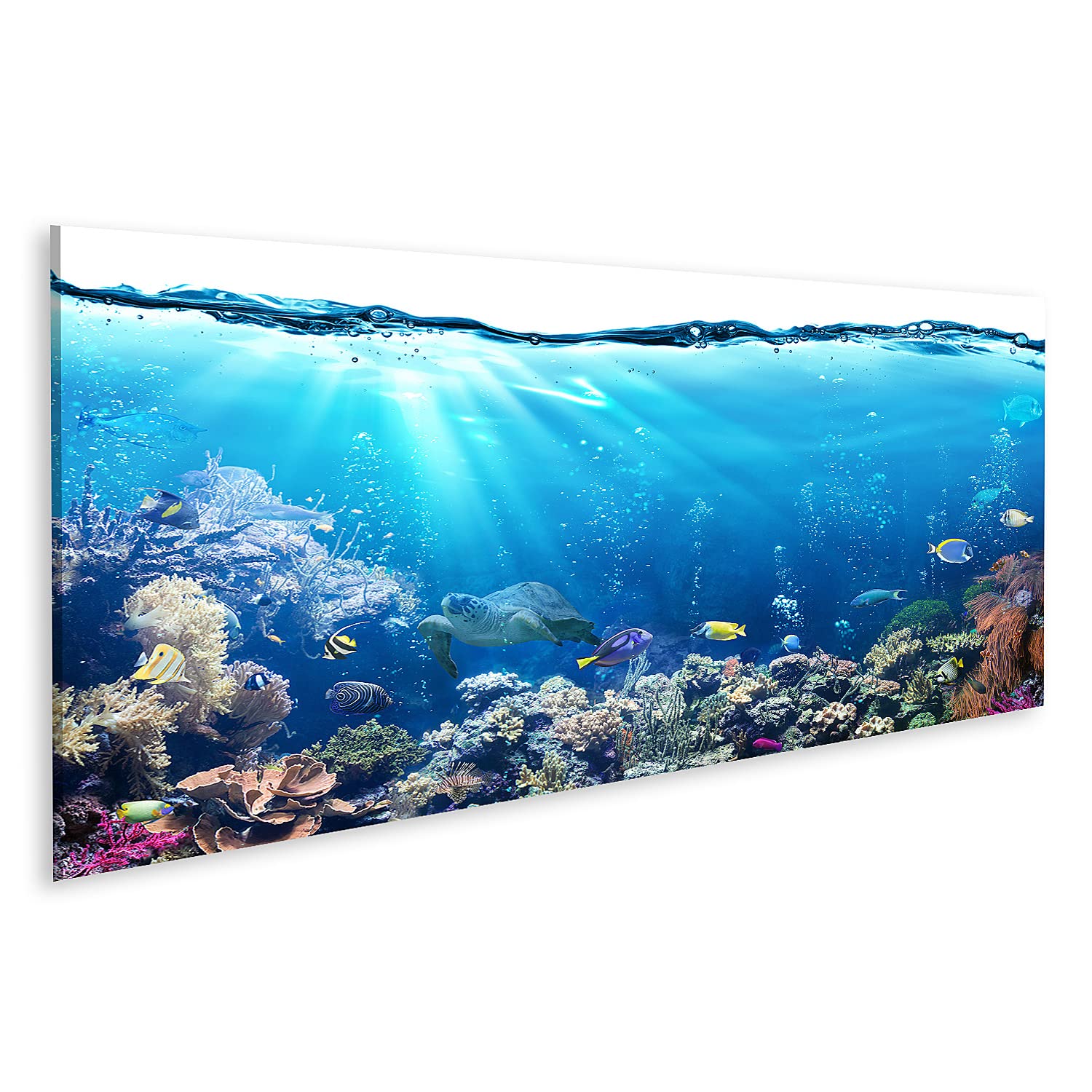 islandburner Quadro su tela Sott'acqua con barriera corallina e pesci tropicali sfondo acquario Quadri Stampe Immagini Murale Decorazione da parete