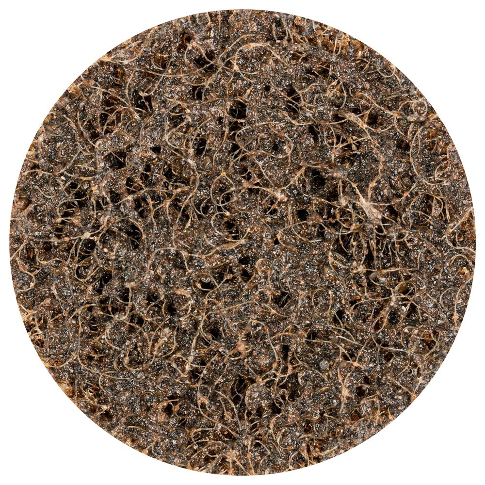 PFERD 43238 Combidisc Non-Woven Quick Change Disc, CDR Type, Aluminum Oxide A, 2" Diameter, Coarse Grade (Pack of 50)