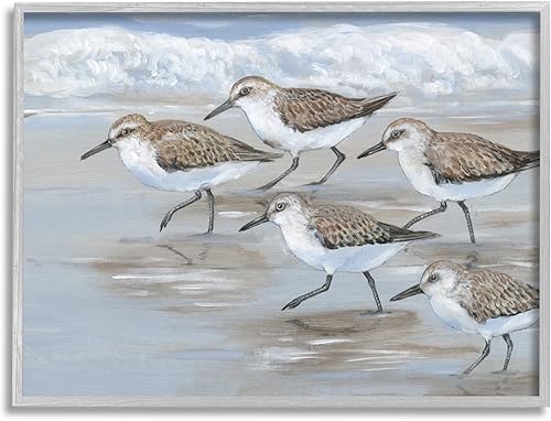 Stupell Industries Sandpiper Bird Flock Marching Beach Coast Waves - Arte de pared enmarcado en gris, 20 x 16, bronceado