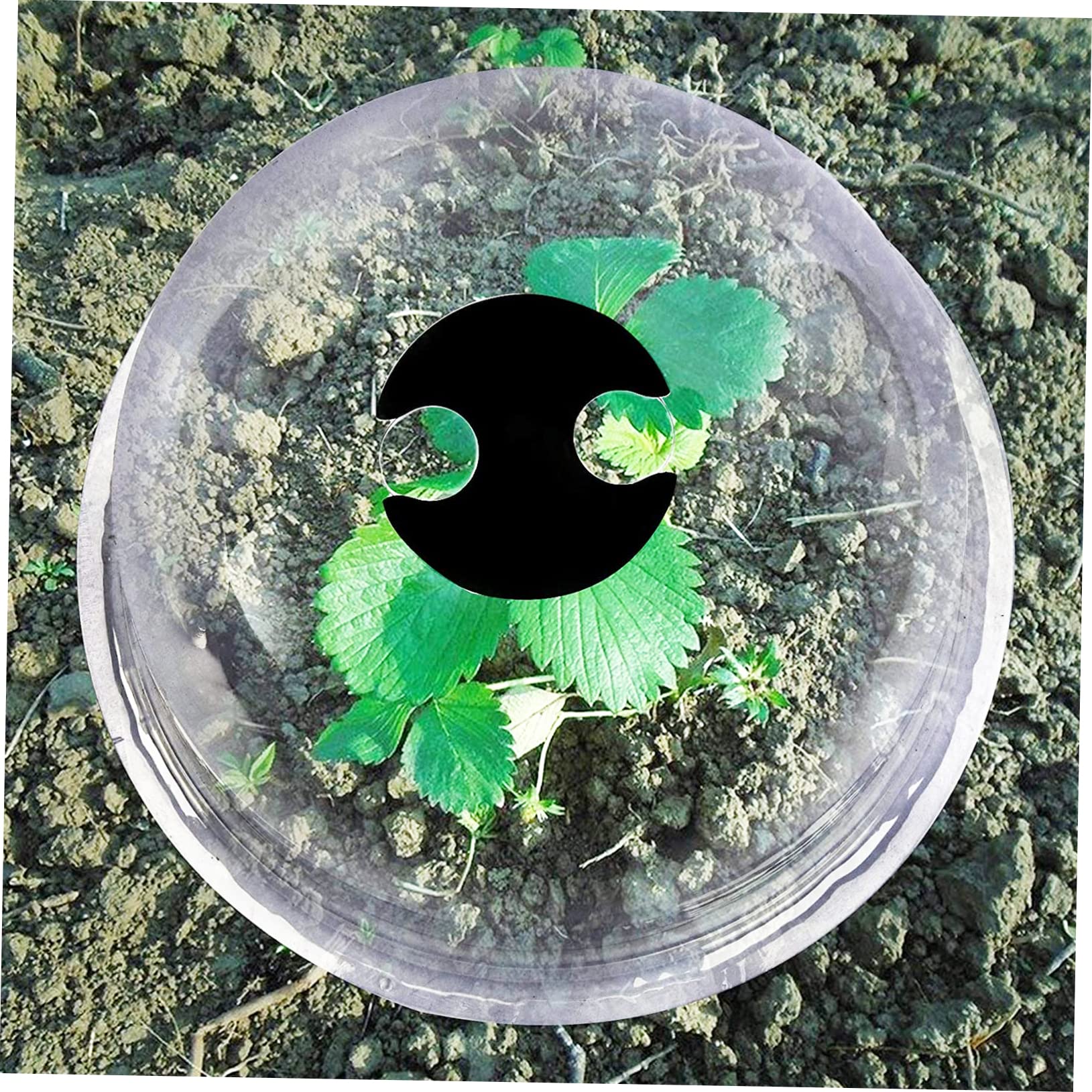 6pièces Cloche De Protection pour Plantes Cloches Plastique Étiquettes Et Piquets De Fixation pour La Chaleur Et Humidité des Semis