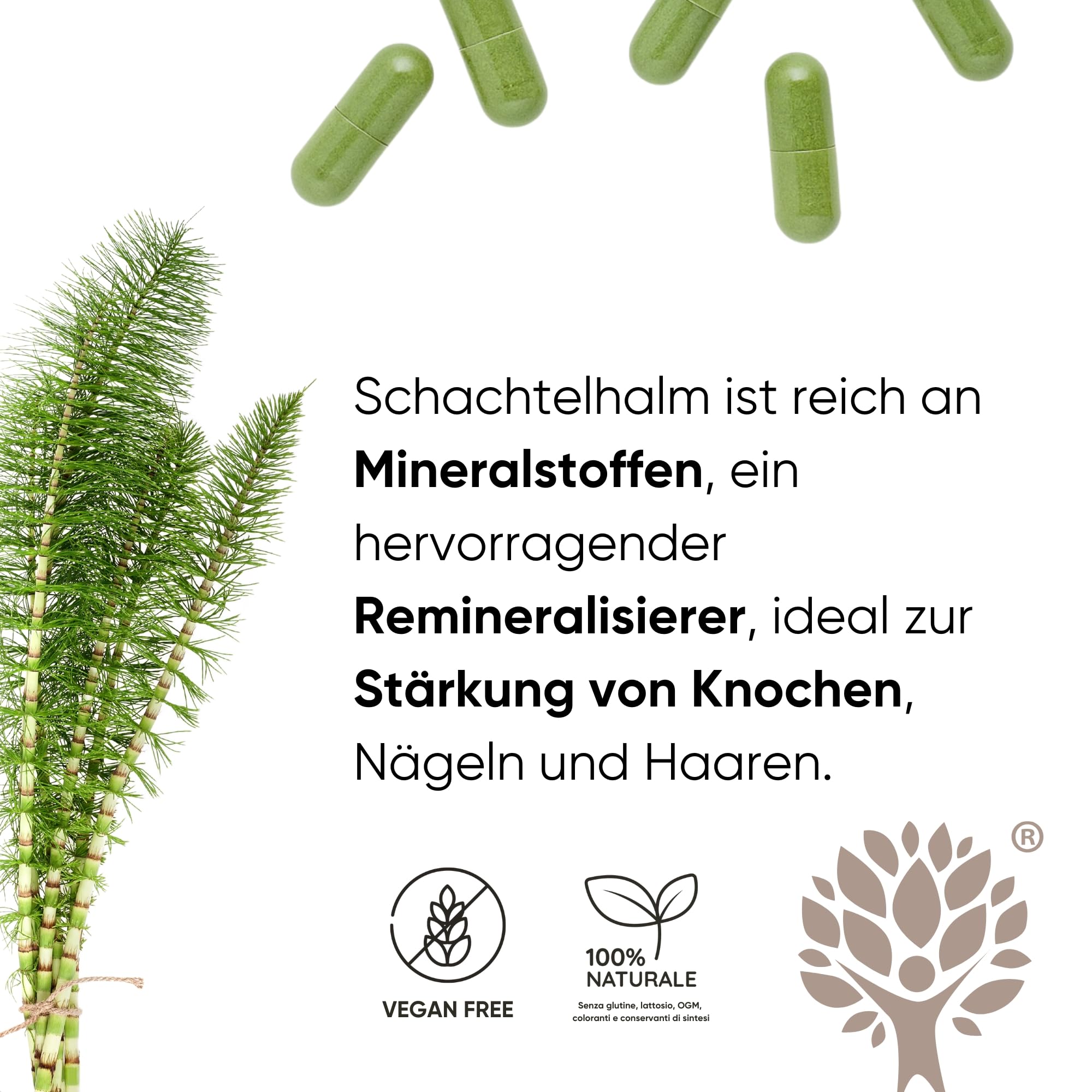 Haarwachstum Biotin Komplex 8 in 1 mit Zink, Selen, Kupfer, Schachtelhalm, Hirse, L Cystein & Bio Moringa – Gegen Haarausfall und für Schnelles Haarwachstum und gegen Haarausfall