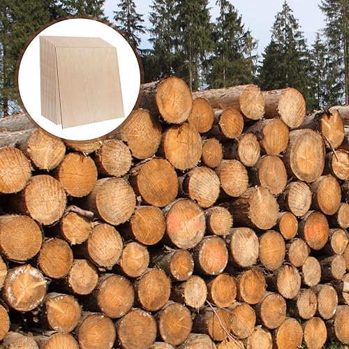 Miniatura 3 de 48 piezas de madera contrachapada de abedul báltico, 12 x 12 x 18 pulgadas, 0.118 pulgadas de grosor, madera sin terminar para manualidades, corte