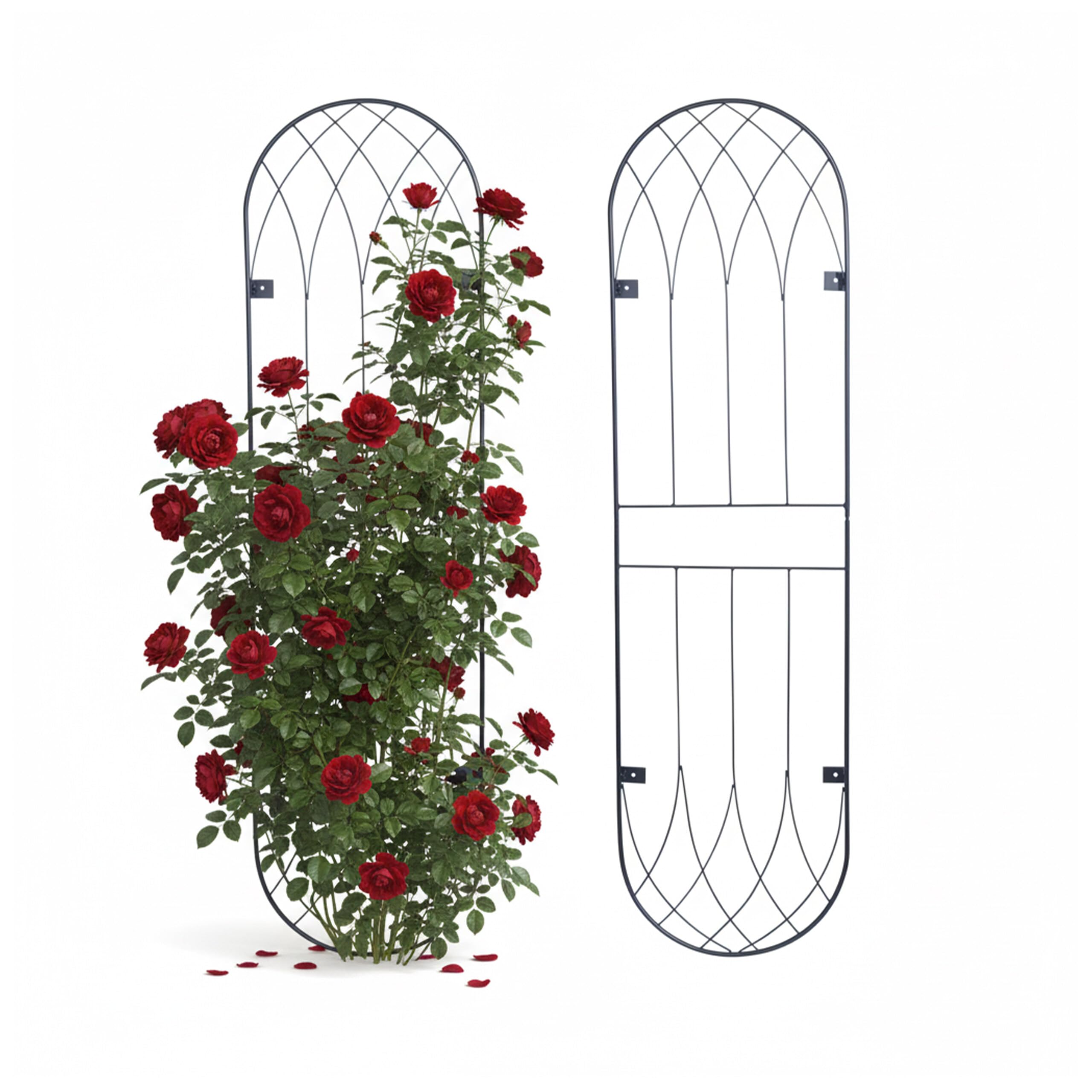 Relaxdays Trellis, set of 2, dome wall trellis HxW 140 x 38 cm, climbing plant support, wall-mounted, steel, black