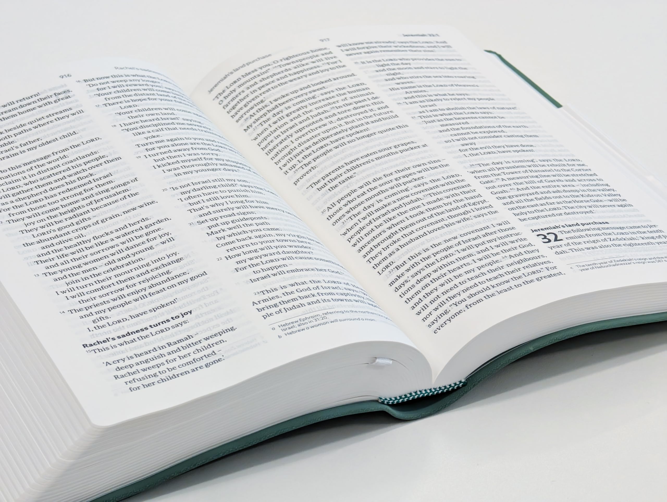 Holy Bible: New Living Translation, Sage-green Soft-tone, British Text