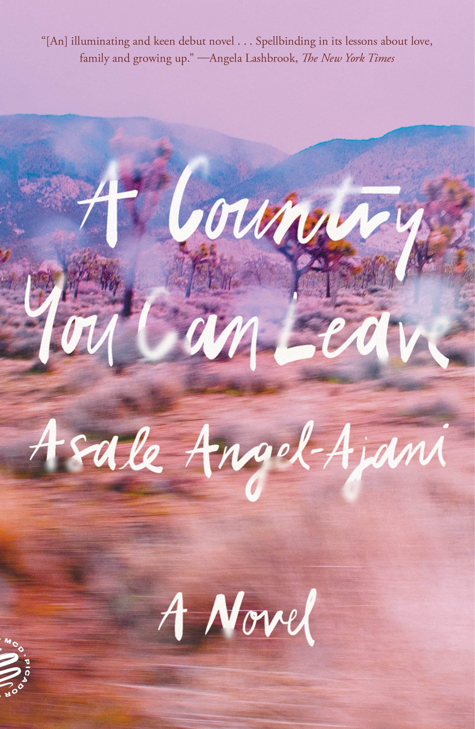 Country You Can Leave: A Novel