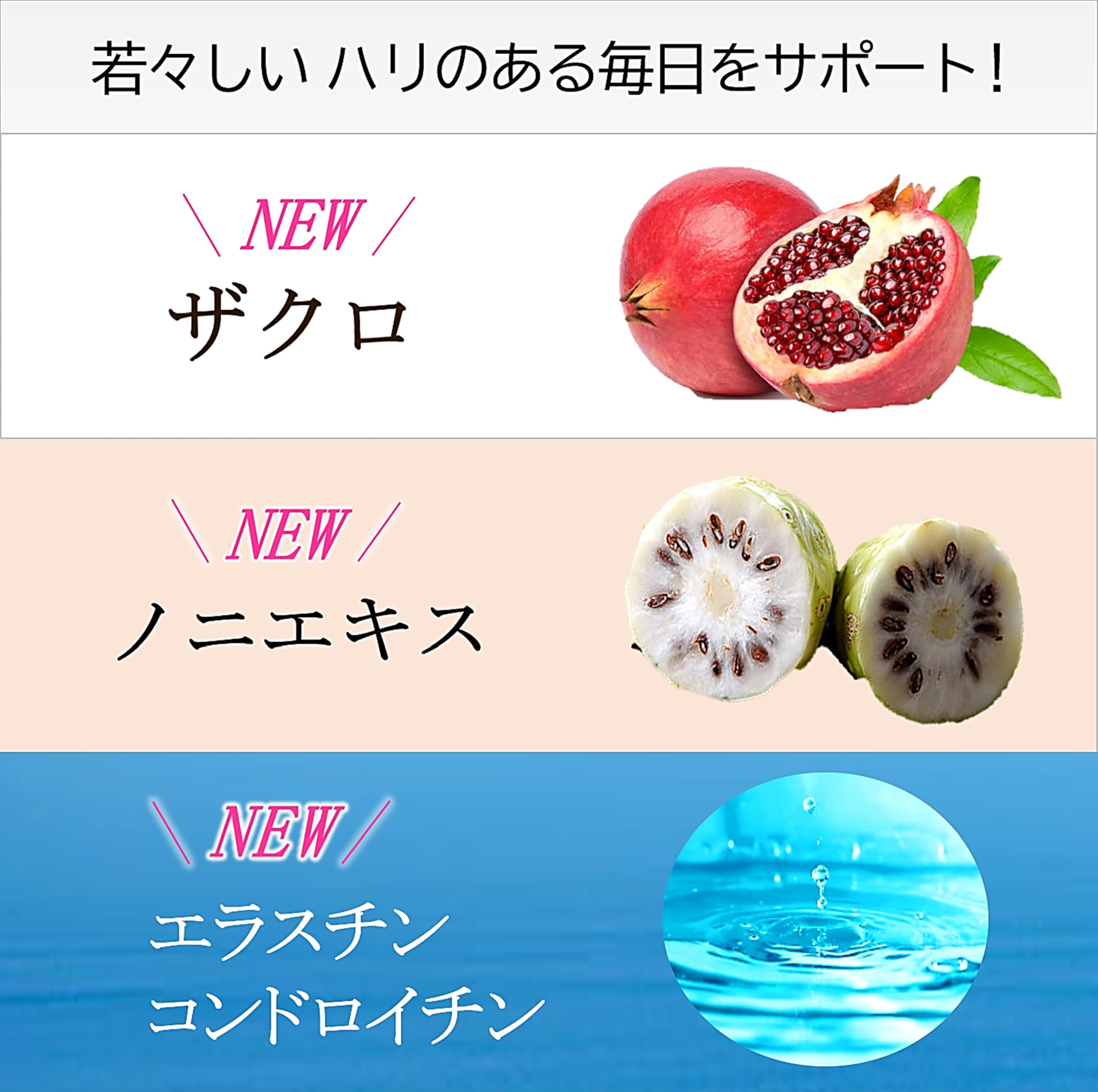 日本サンテ NMN 15000 1粒250mg 国産純度100 美容成分12種