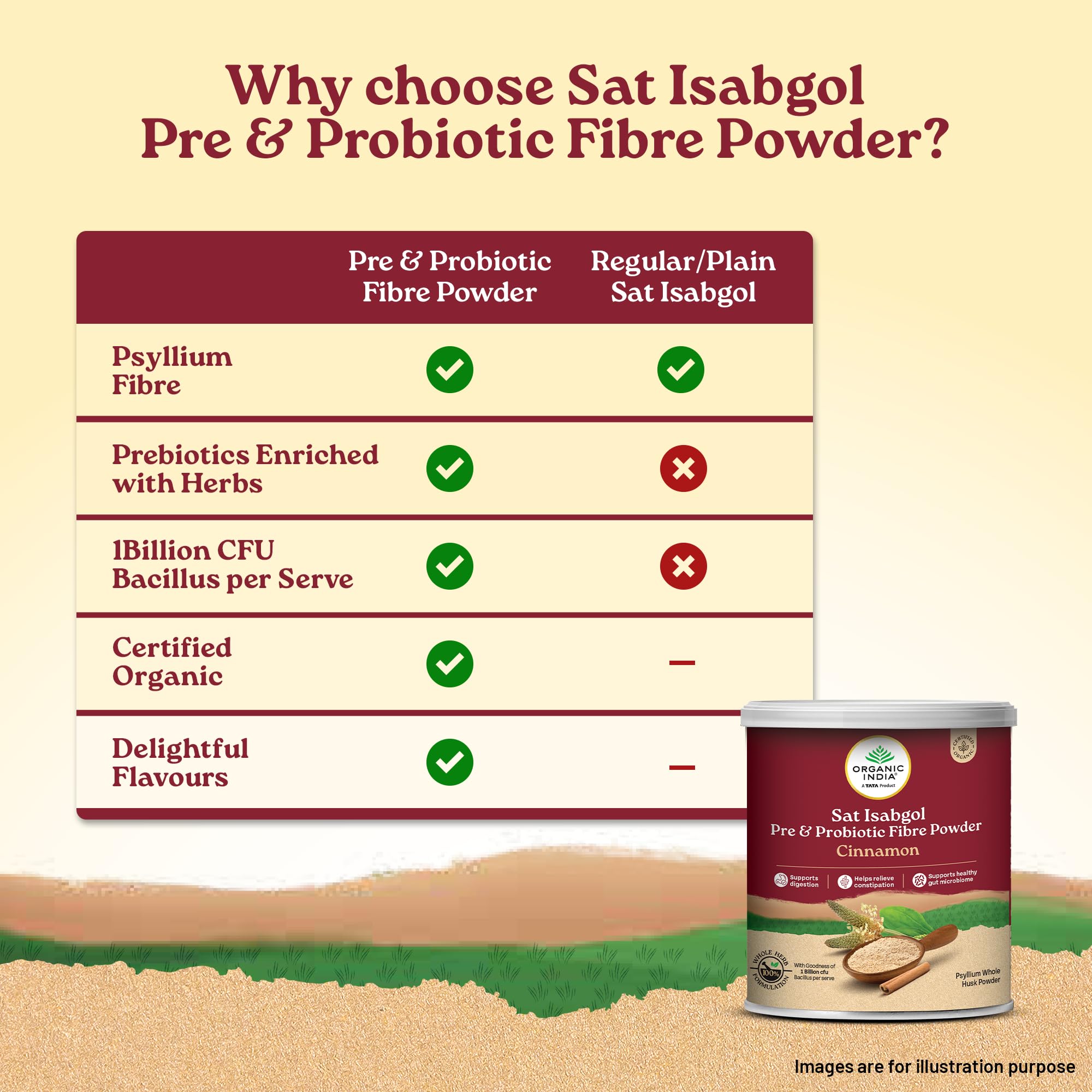 A TATA Product- Organic India Sat Isabgol Pre & Probiotic Fibre Powder Cinnamon, 100g product image 3