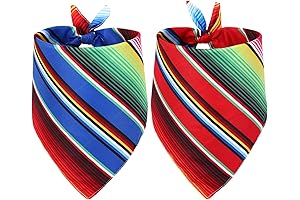 Whaline Mexican Bandana: Your Pup's Fiesta Fashion Statement