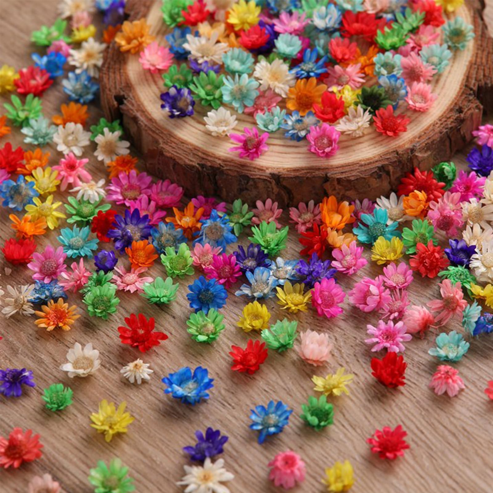 1000 PCS Small Dried Flowers For Resin Crafts, Mini