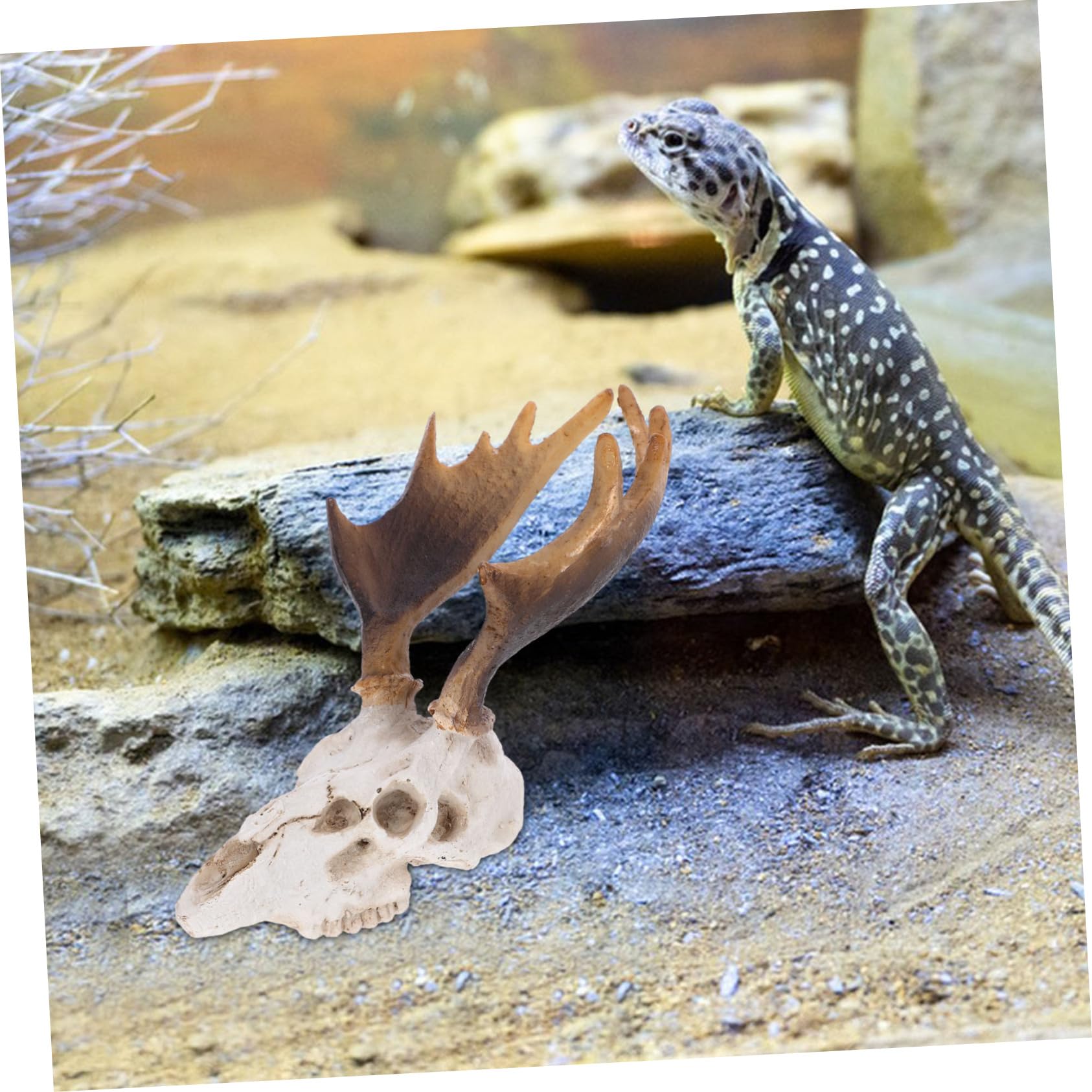ibasenice 4 Pièces décoration de l'habitat Animaux Animal Aquarium Estrade réservoir Ornement cachette de Reptiles Grotte cachée par Les Reptiles Grotte des Reptiles décors d'habitat résine