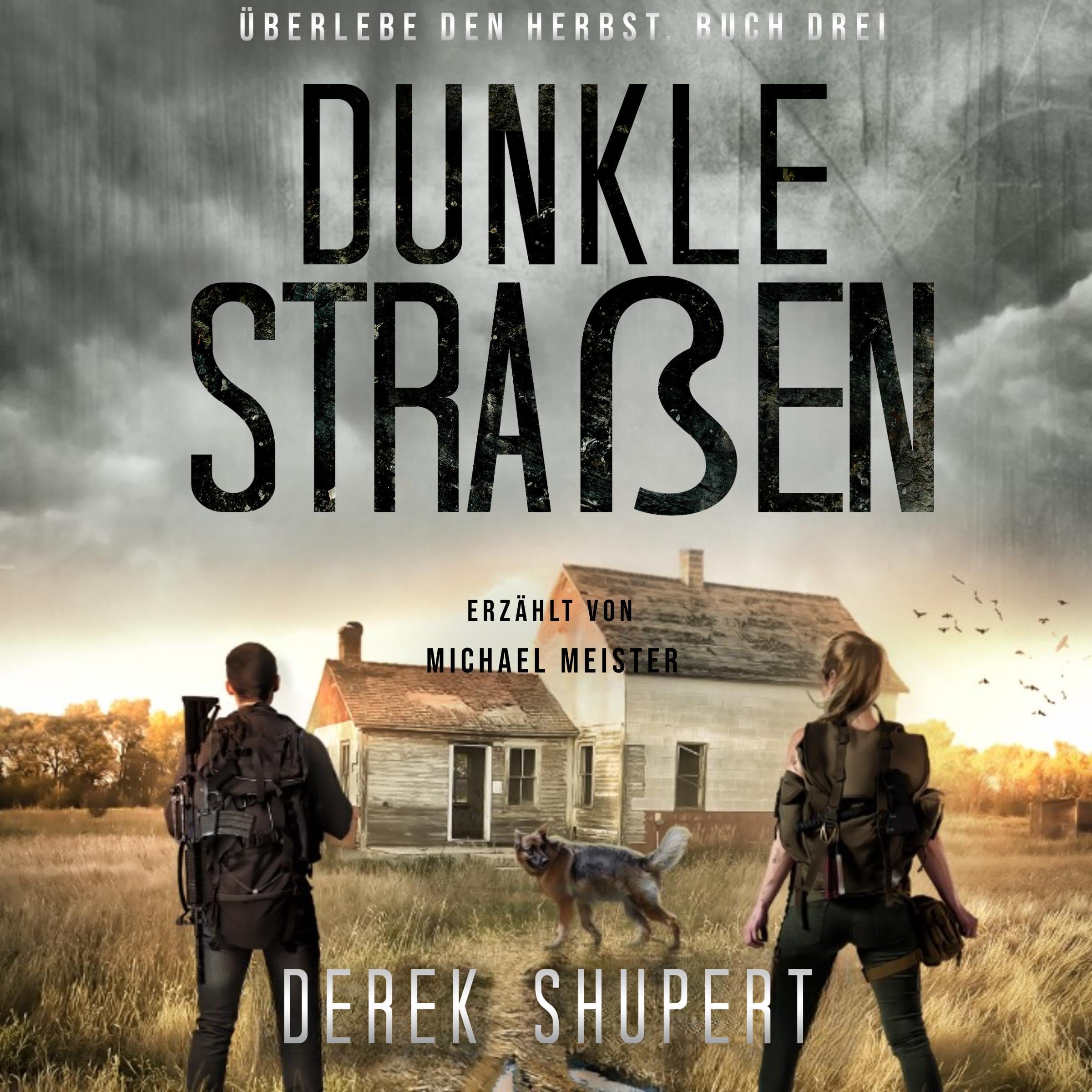 Cover art for Dunkle Straßen