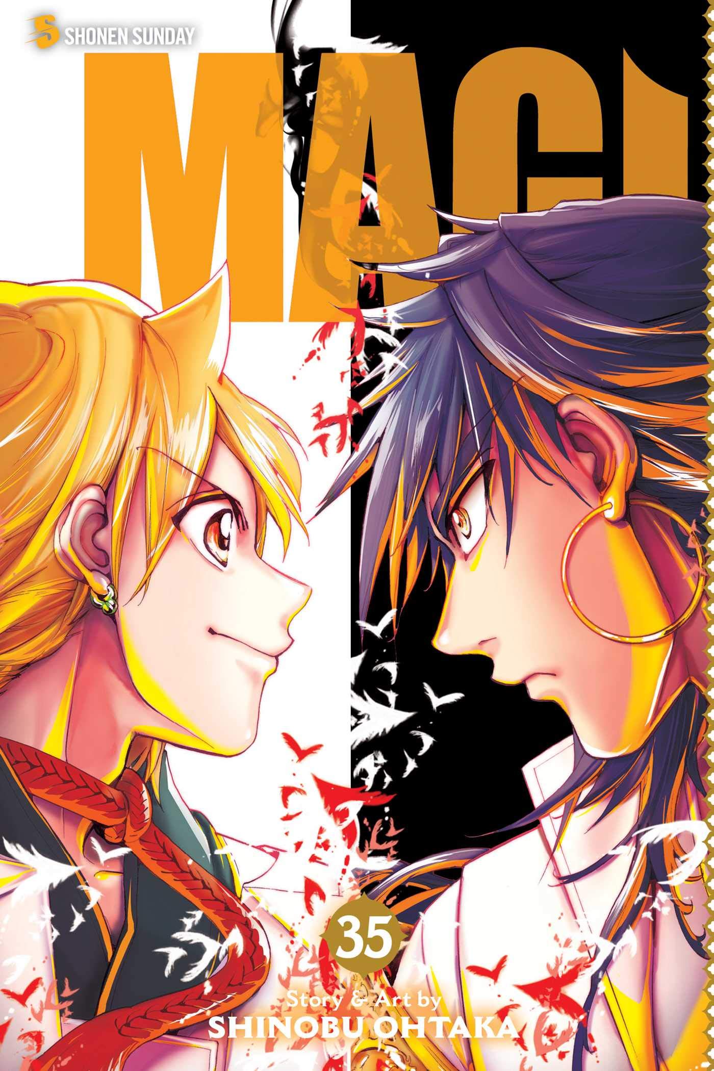 Magi: The Labyrinth of Magic, Vol. 35: Volume 35