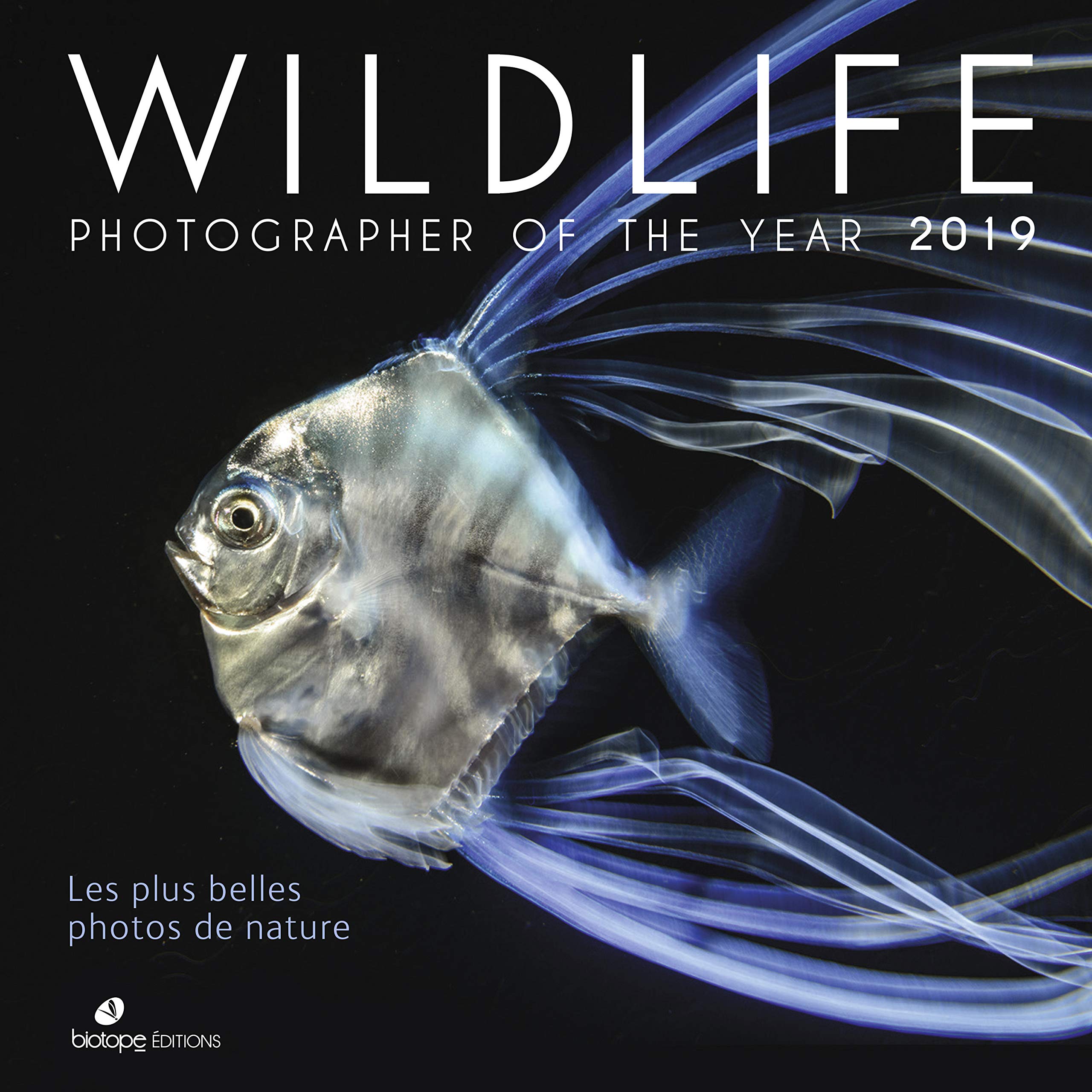 Wildlife Photographer Of The Year 20 Outstanding 2019 15 Amazing