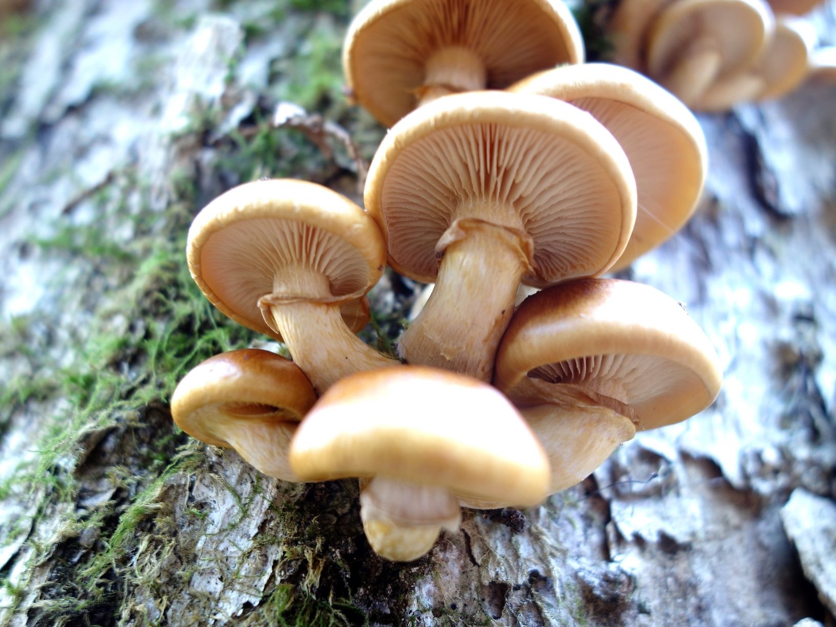 お客様イメージ