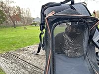 Review Image by Cap Cap