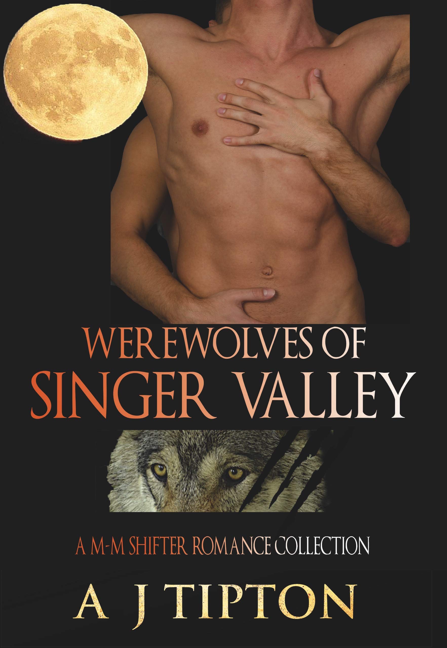 Cover of Werewolves of Singer Valley