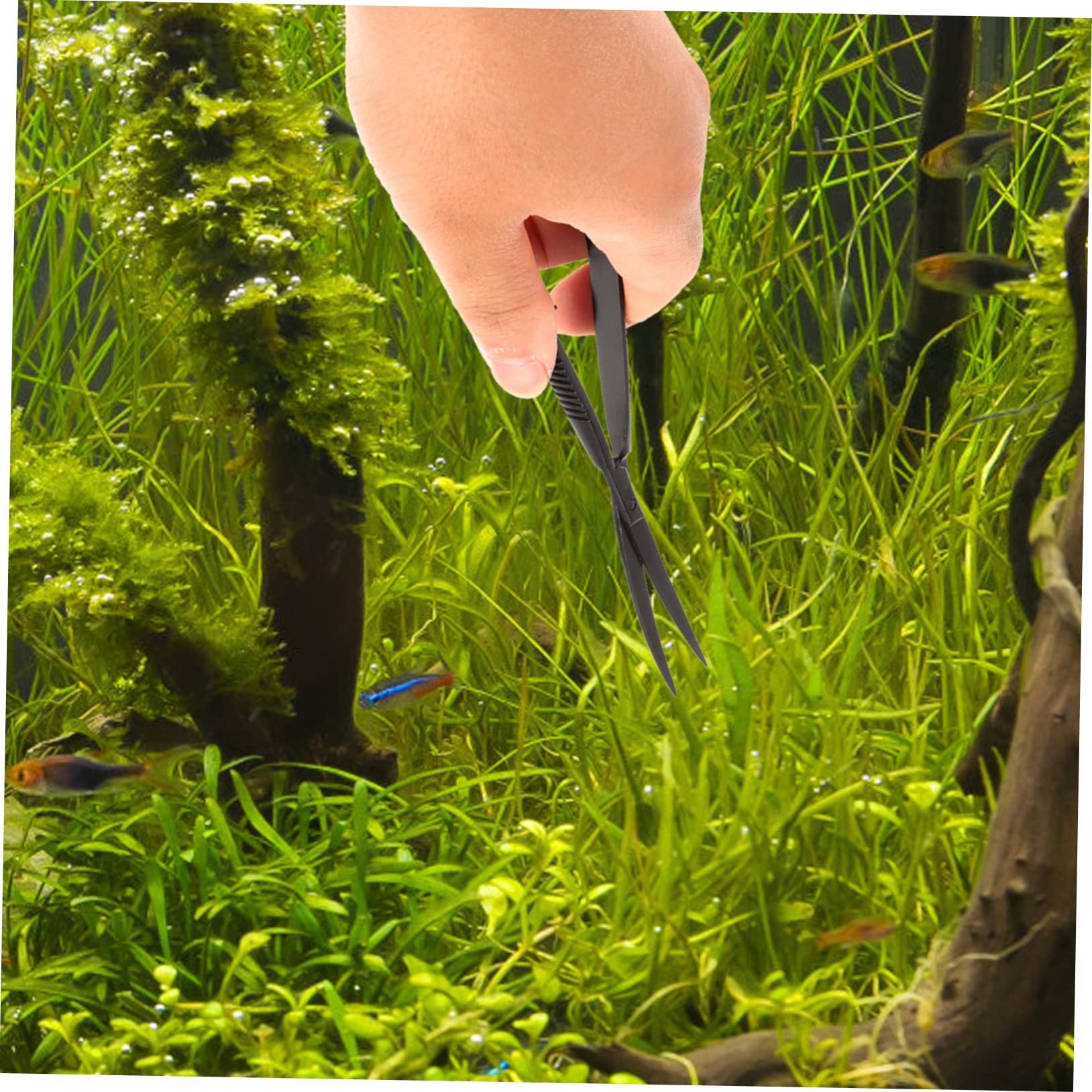 Happyyami 3stücke Edelstahl Aquarium Pflanzen Trimmer Praktische Wasserpflanzen Schere Für Präzises Trimmen Von Aquarienpflanzen Einfach Der Handhabung Für Aquascaping Und Pflege Von