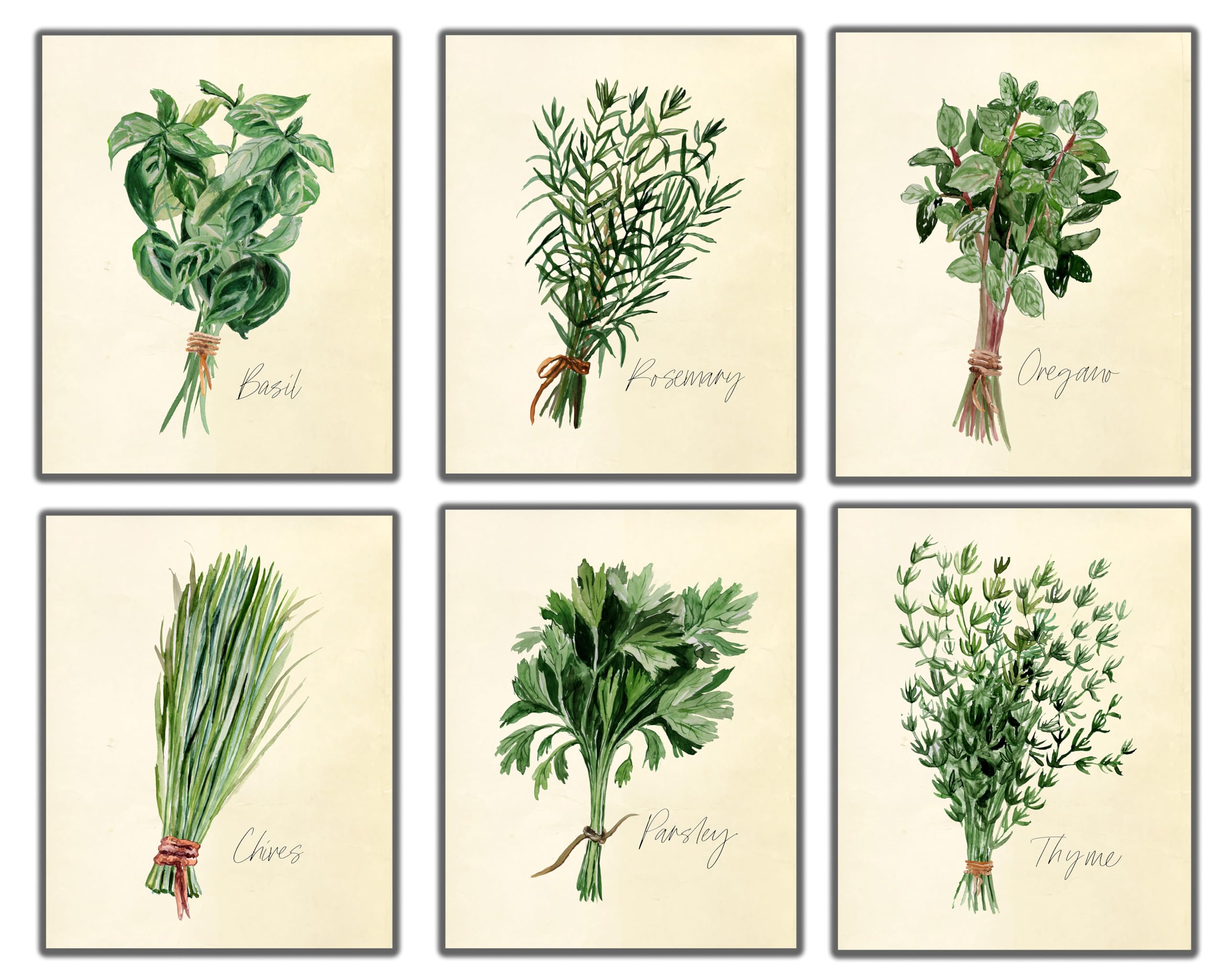 Amazon.com: Kitchen Herbs Wall Art Prints - Set of 6-8x10 UNFRAMED