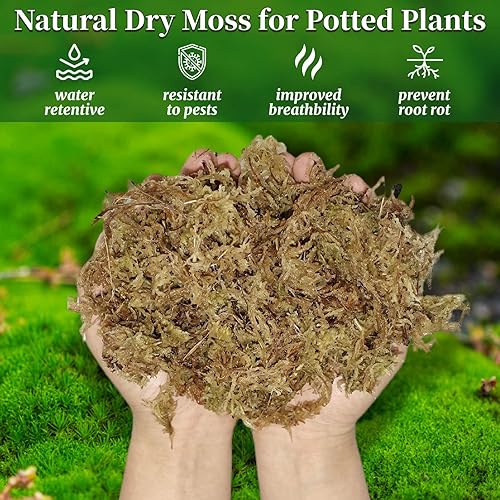 Miniatura 2 de Natural Sphagnum Moss for Plants - Orchid Potting Mix Peat Moss Carnivorous Dried Bark for Sarracenia, Gardening Succulents Reptiles Decorating