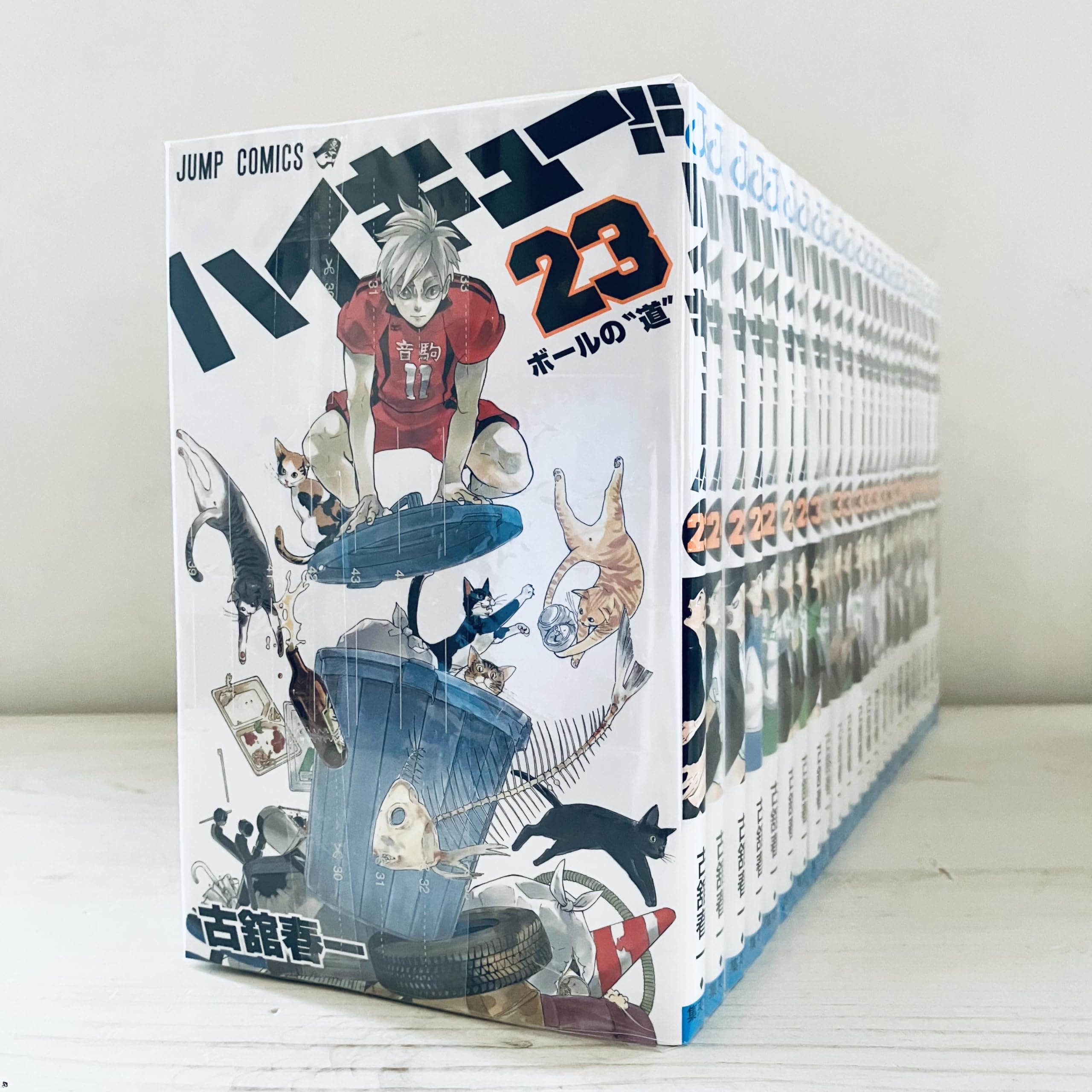 Amazon.co.jp: 古舘 春一: 本、バイオグラフィー、最新アップデート