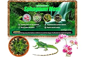Mostopiaryart Sphagnum Moss: Reptile-Safe Haven