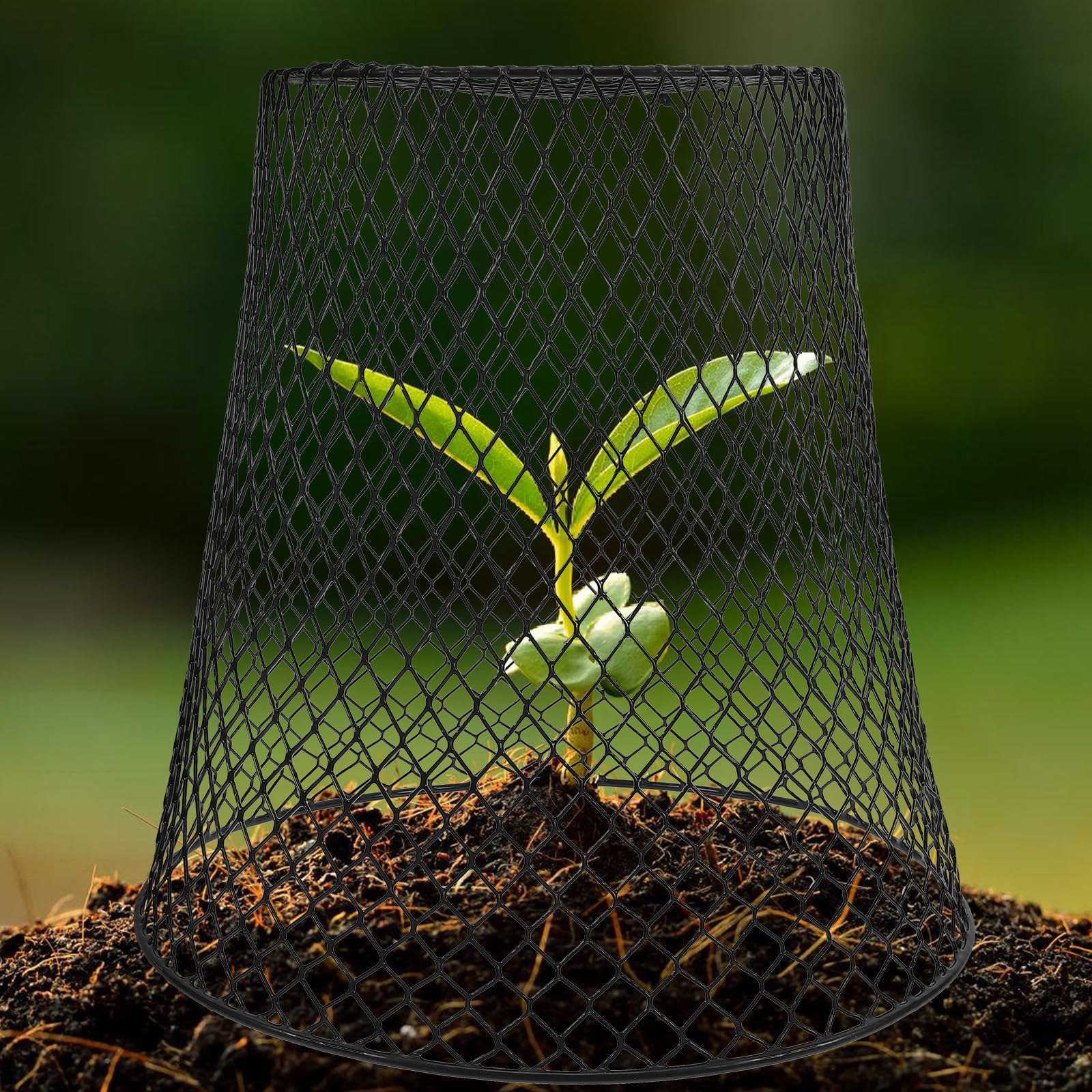 5 Stück Robuster Pflanzenkäfig aus Eisen für Gartenschutz Praktische Pflanzenschutzhaube für Blumen und Gemüse im Privaten Garten