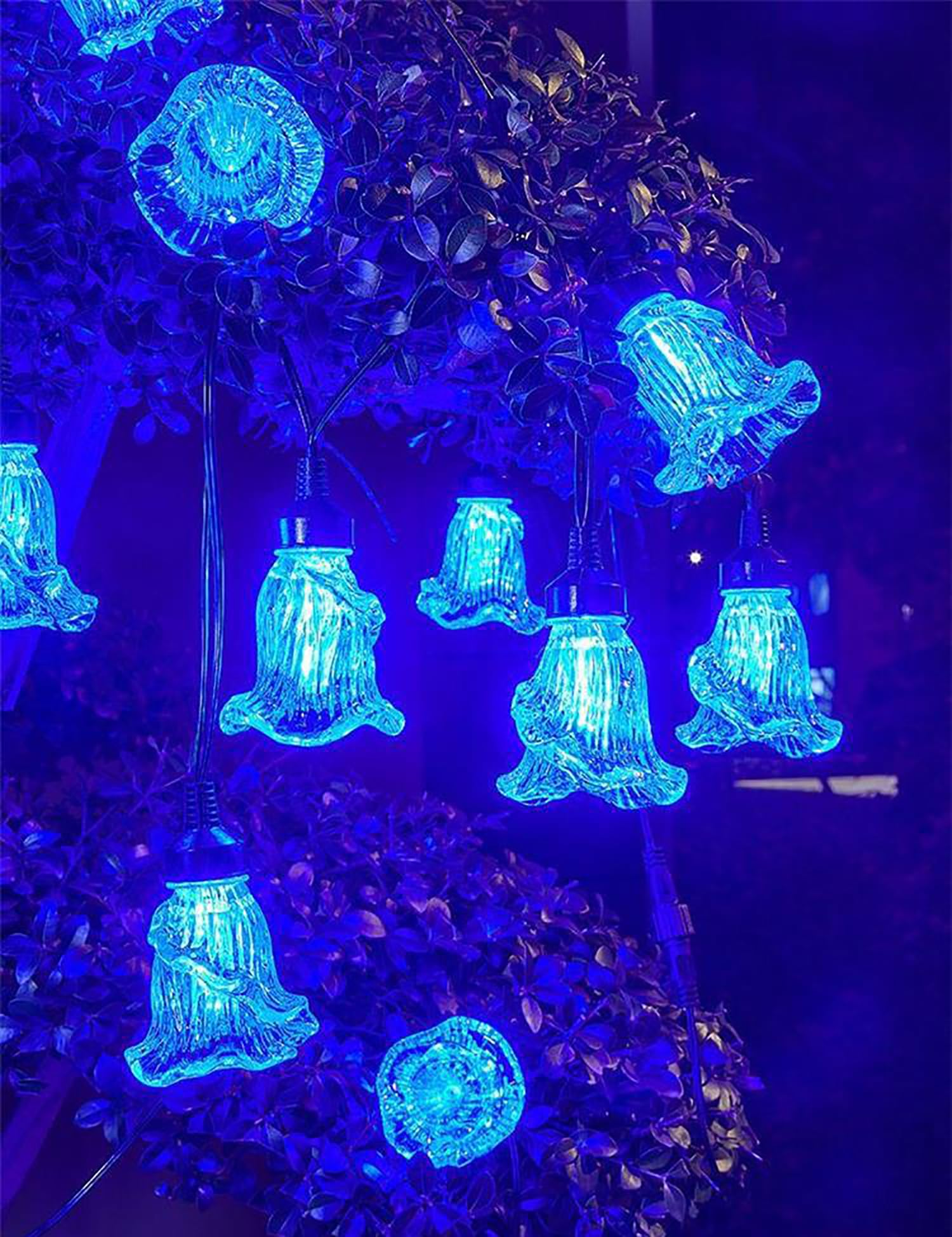 Catena luminosa solare per esterni, 5 m, 10 LED, lampada a forma di fiori di mucca, con telecomando, impermeabile, decorazione per casa, cortile, terrazza, feste, matrimoni (blu)