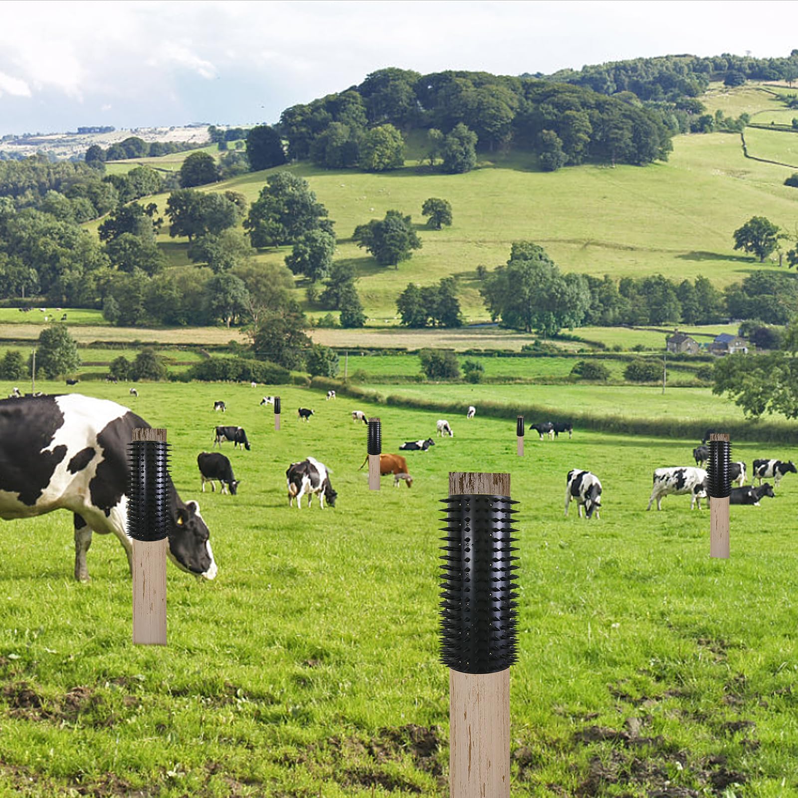 Ferme, lot de 2 outils anti-démangeaisons pour animaux tels que les vaches et les chevaux, brosse de massage, brosse anti-démangeaisons, tampons à griffer pour animaux, tapis en plastique souple