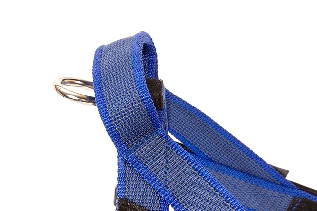 Foto 5 de 8 de Julius-K9 Arnés De Correa, Azul-Gris, S / Mini