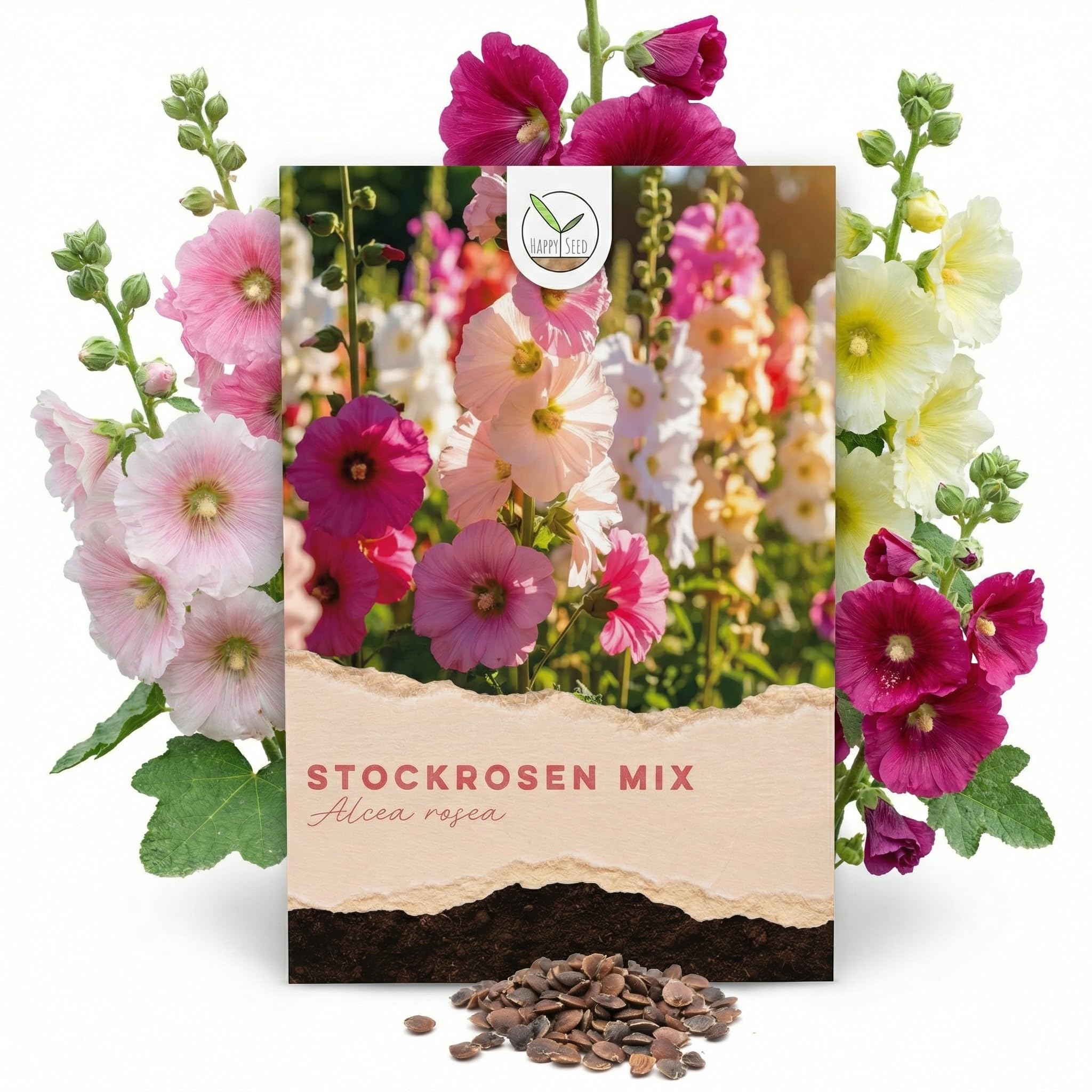 Stockrosen Samen zweijährig (Alcea Rosea, 100 Korn) - Wunderschöne Rosen mit langer Blütezeit für besondere Akzente in Ihrem Blumenbeet (Mix)
