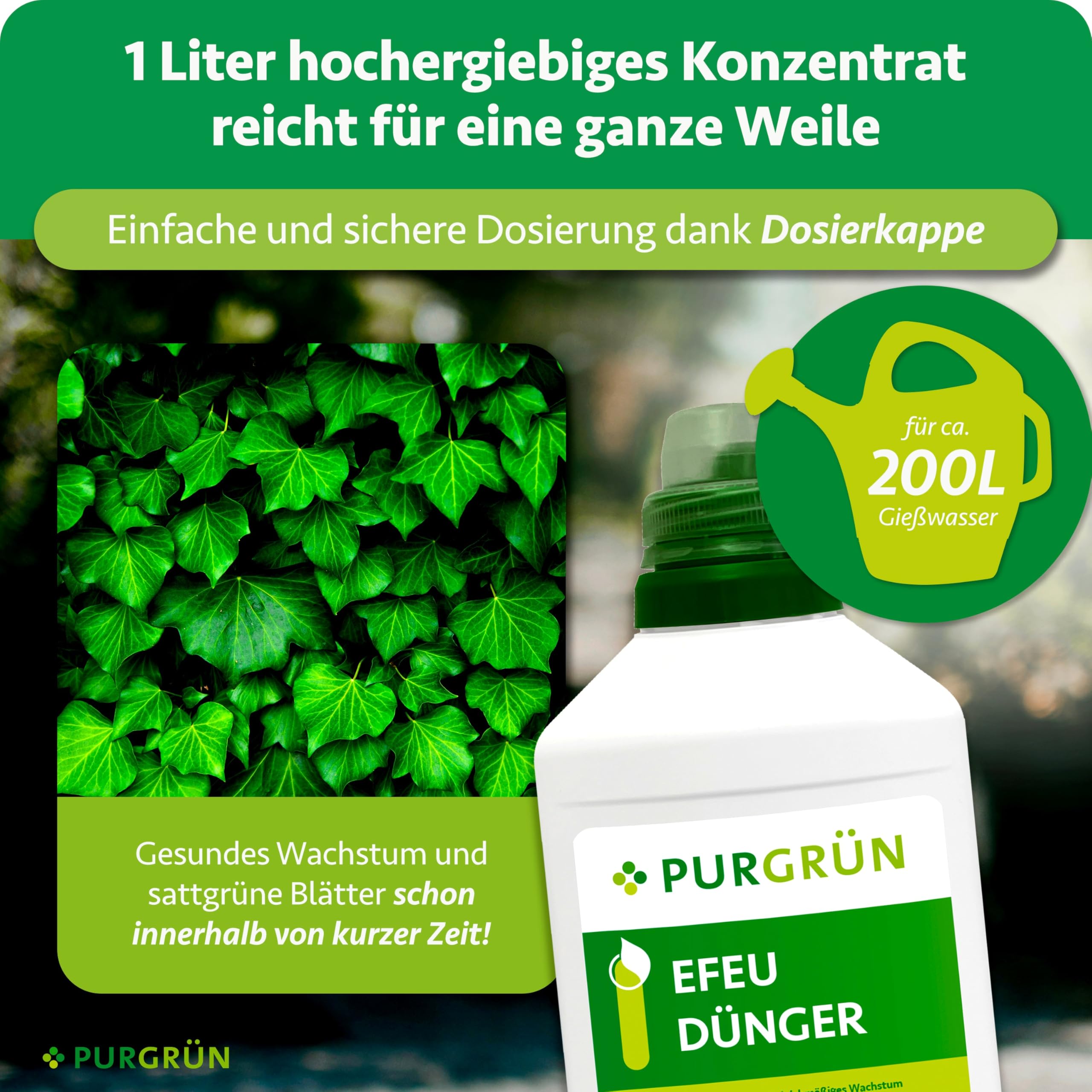 Efeu-Dünger 1 Liter – Schnell wirksame mineralische Rezeptur – Premium-Flüssigdünger mit Spurennährstoffen – NPK 10+4+6 – Fördert kräftiges Wachstum – Wirkt innerhalb von wenigen Tagen