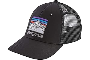 Patagonia Men's Line Logo Ridge LoPro Trucker Hat